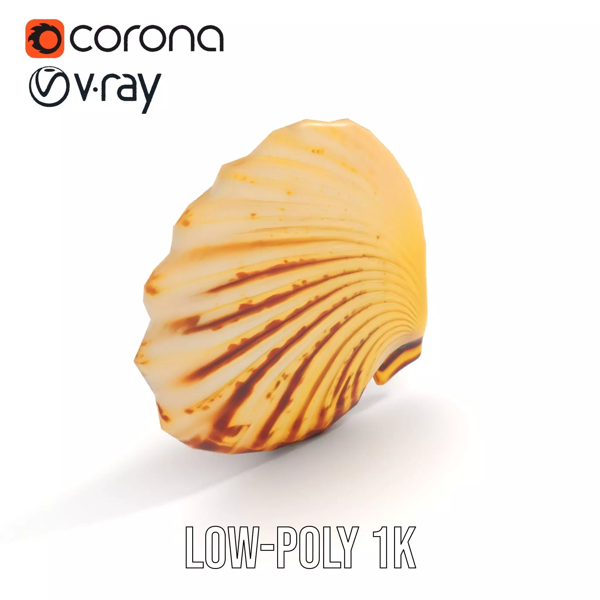 Natural Seashell Textured model pack Low-poly 3D model_17
