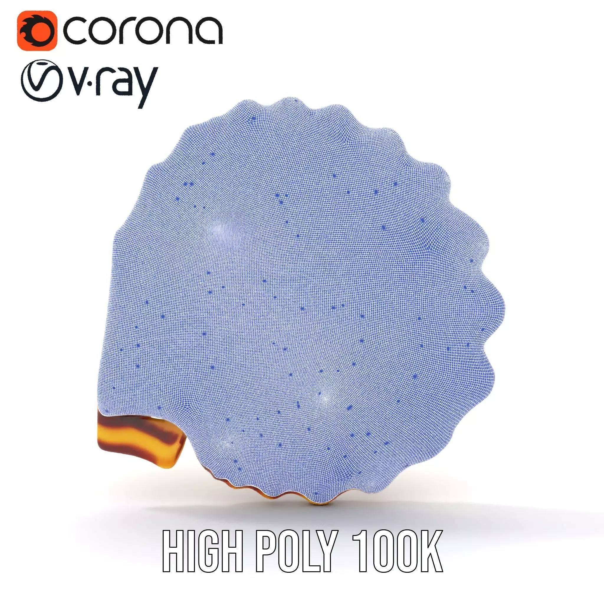 Natural Seashell Textured model pack Low-poly 3D model_32