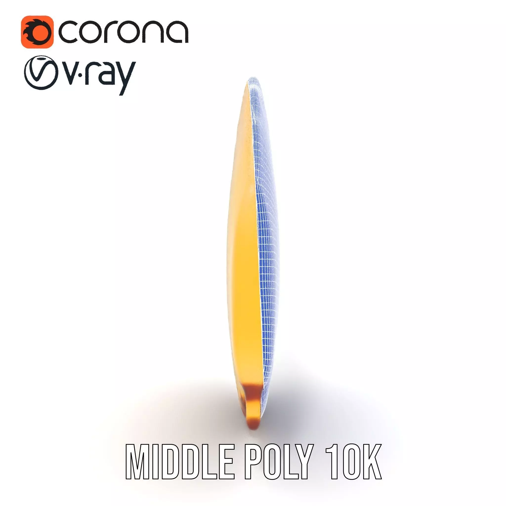 Natural Seashell Textured model pack Low-poly 3D model_30