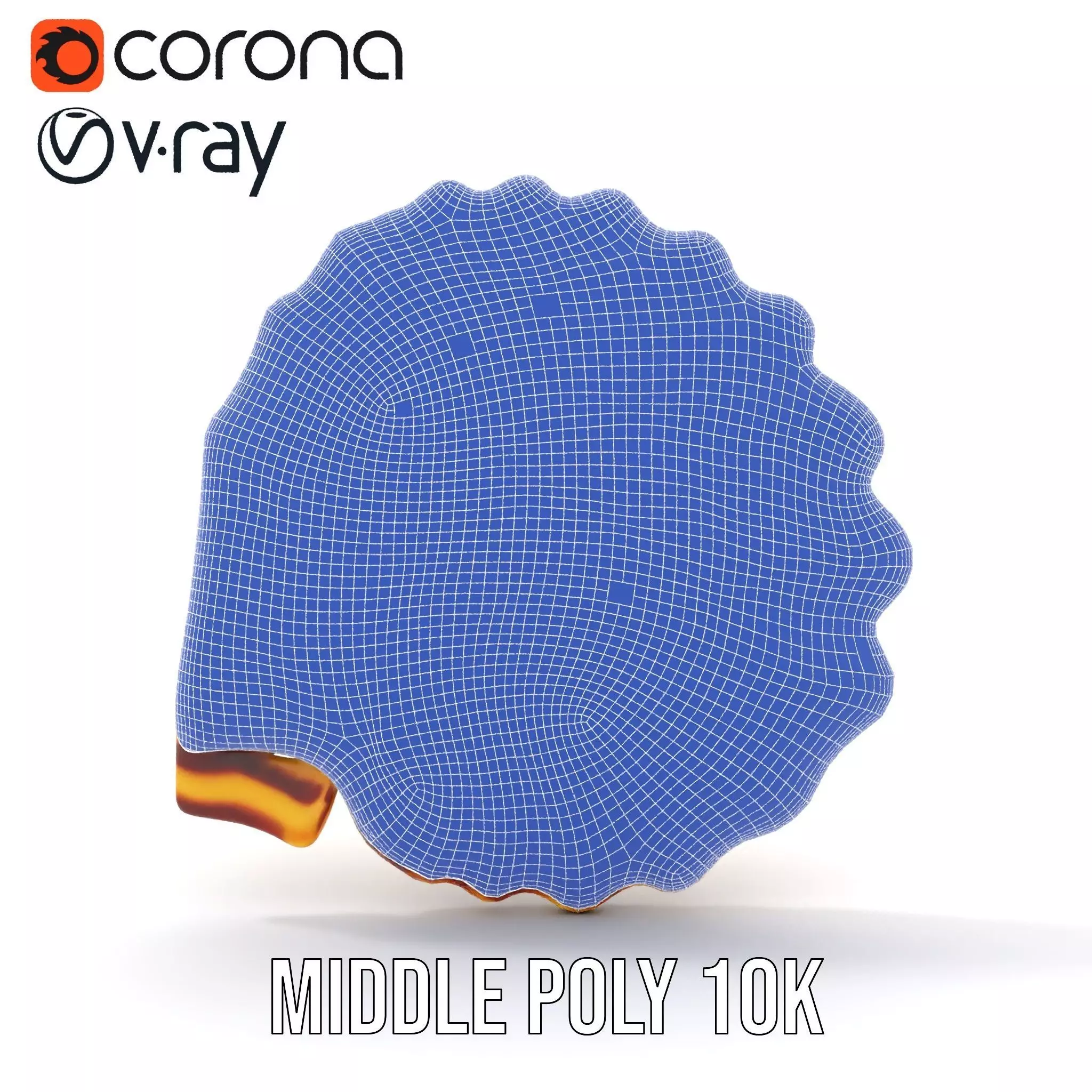 Natural Seashell Textured model pack Low-poly 3D model_16