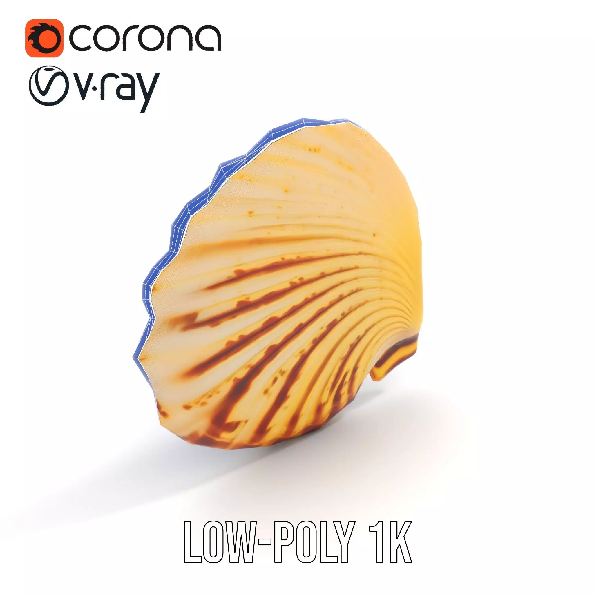 Natural Seashell Textured model pack Low-poly 3D model_25