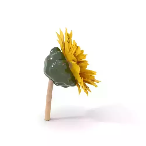 Yellow Cactus Blossom model pack