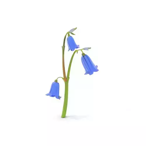 Bluebell Flower model pack Low-poly 3D model