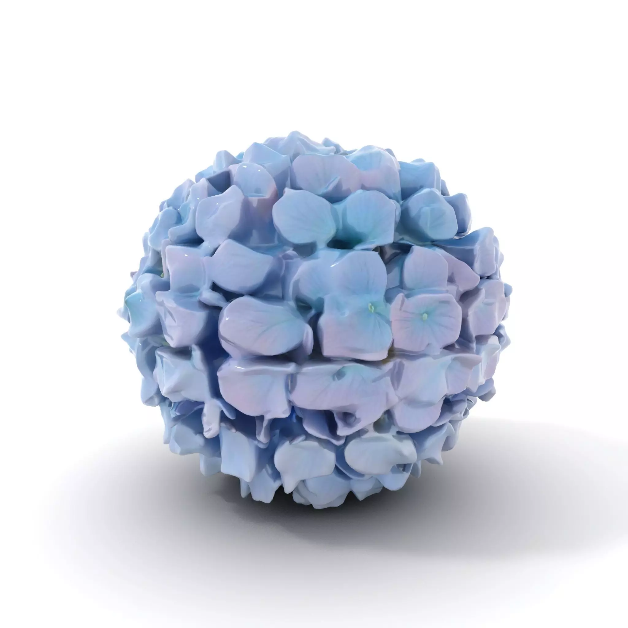Hydrangea Blossom model pack Low-poly 3D model_19