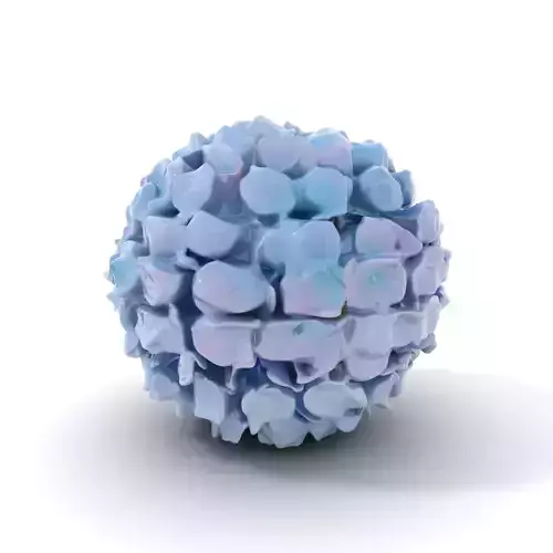 Hydrangea Blossom model pack Low-poly 3D model