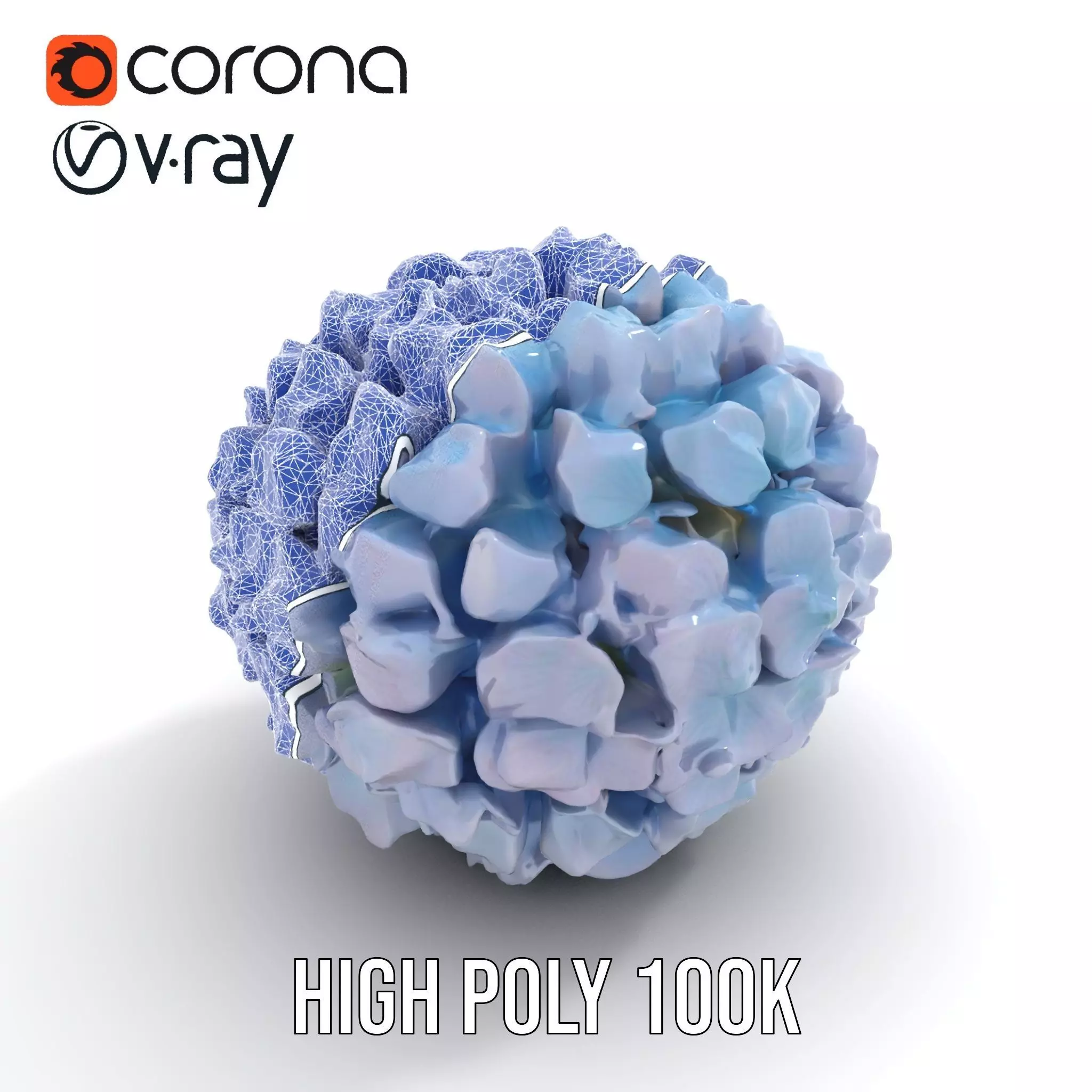 Hydrangea Blossom model pack Low-poly 3D model_5