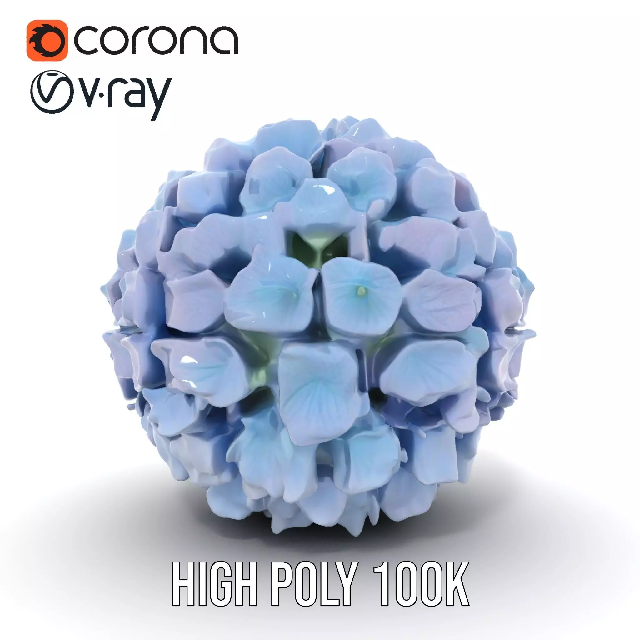 Hydrangea Blossom model pack Low-poly 3D model_23
