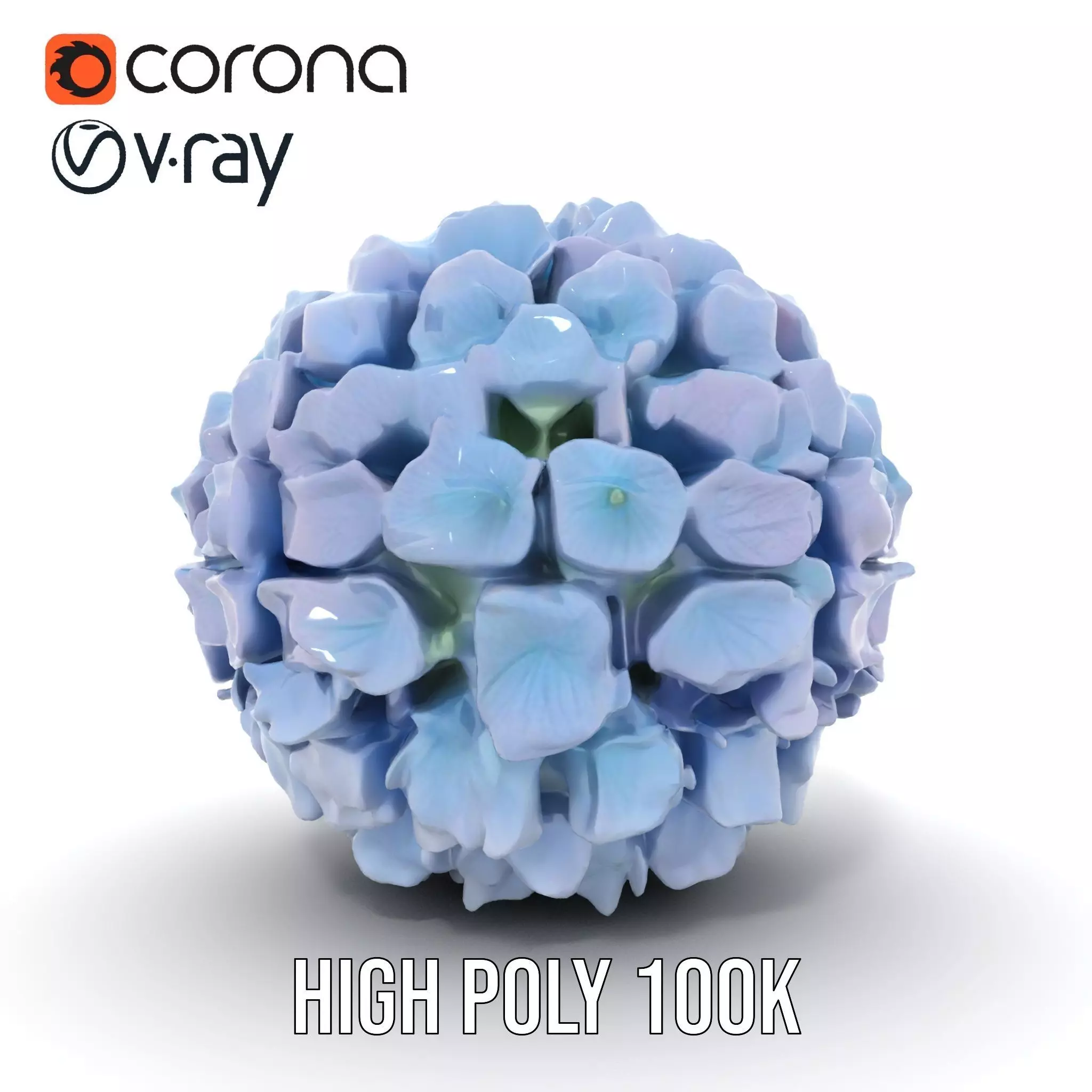 Hydrangea Blossom model pack Low-poly 3D model_18
