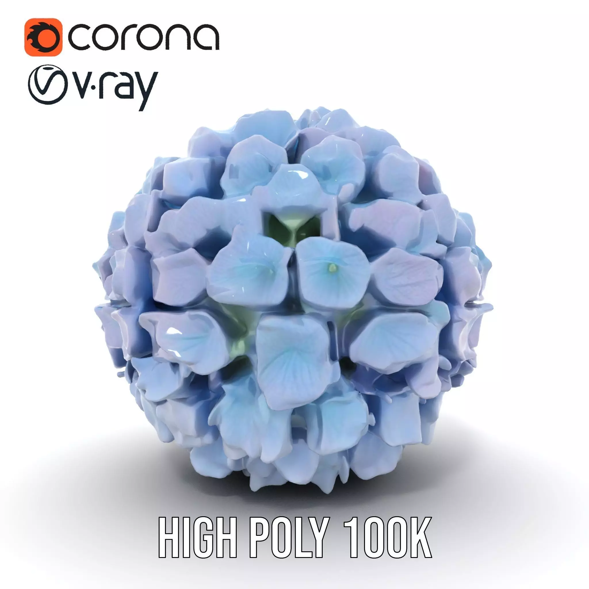 Hydrangea Blossom model pack Low-poly 3D model_9