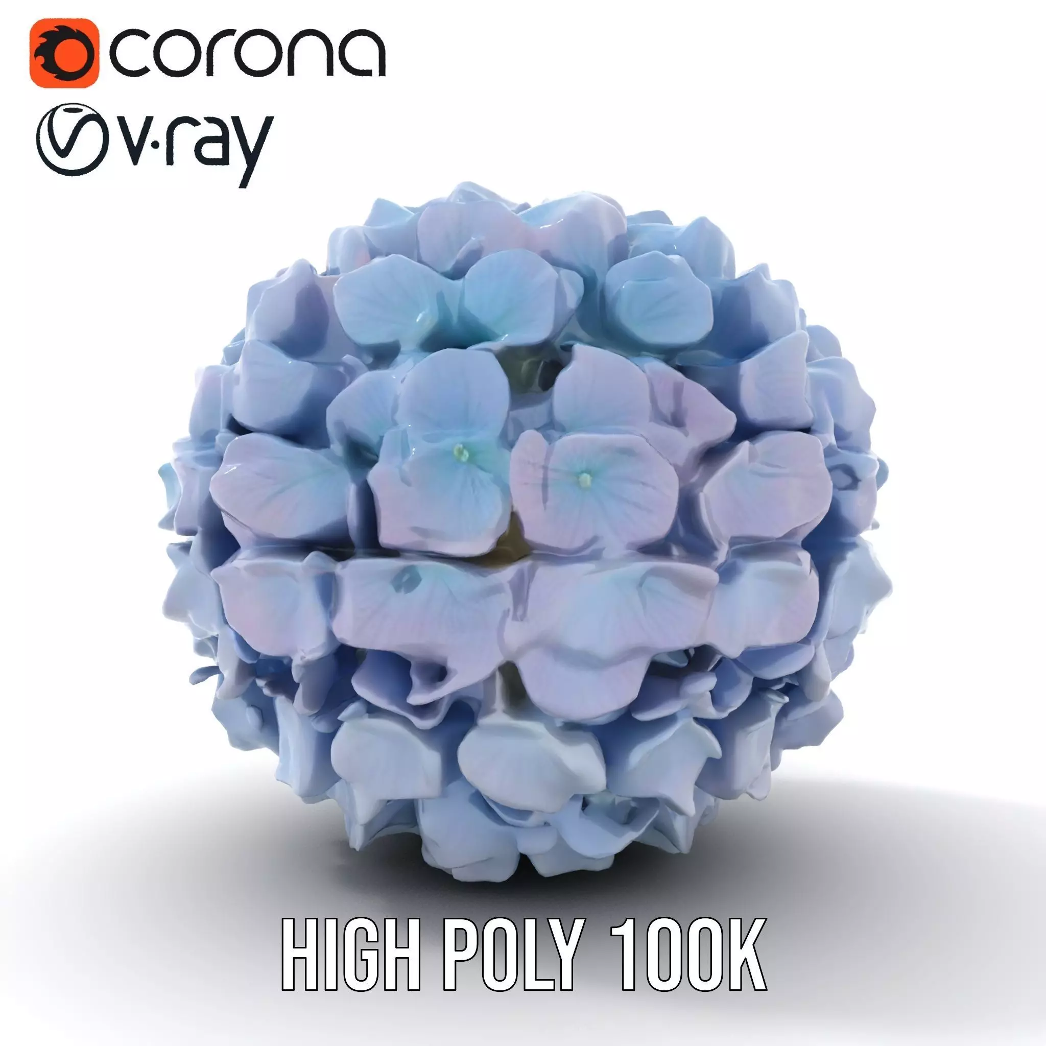 Hydrangea Blossom model pack Low-poly 3D model_28