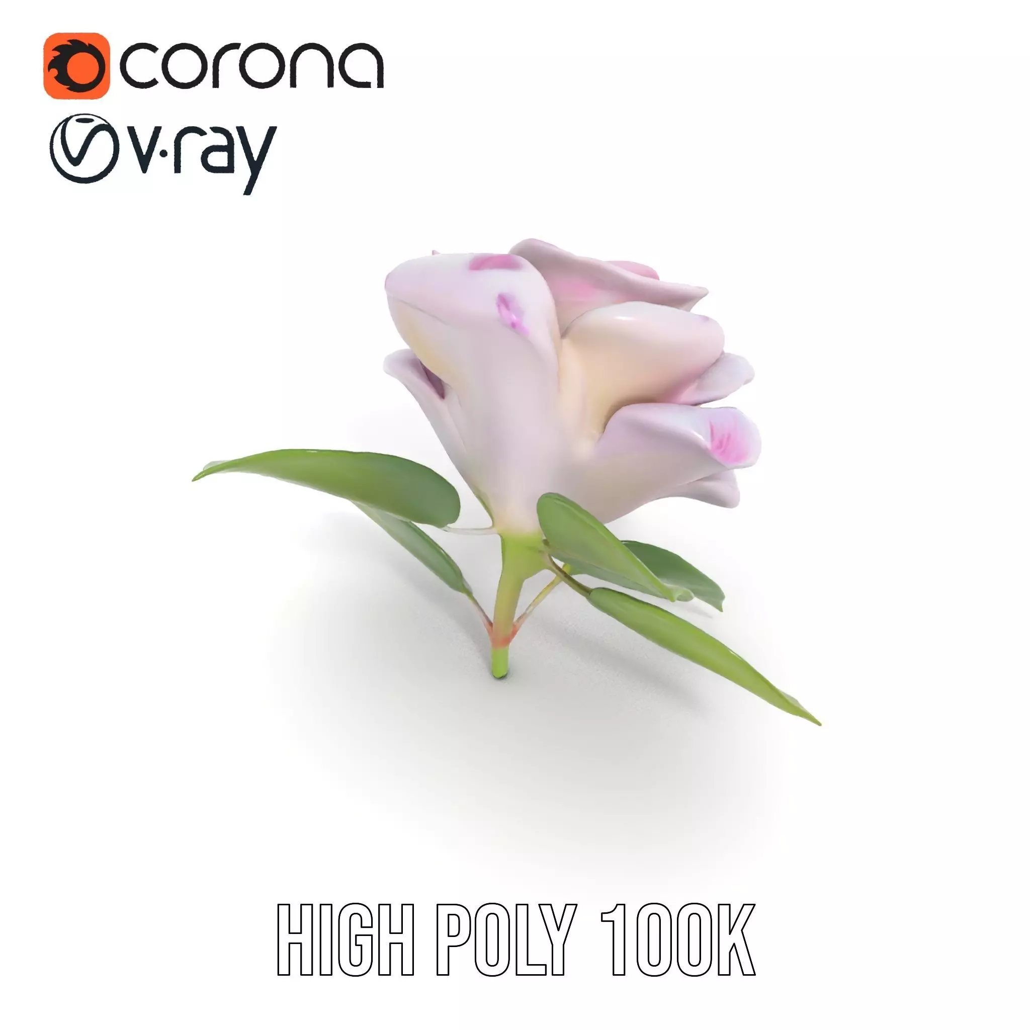 Elegant Pink Rose model pack Low-poly 3D model_20