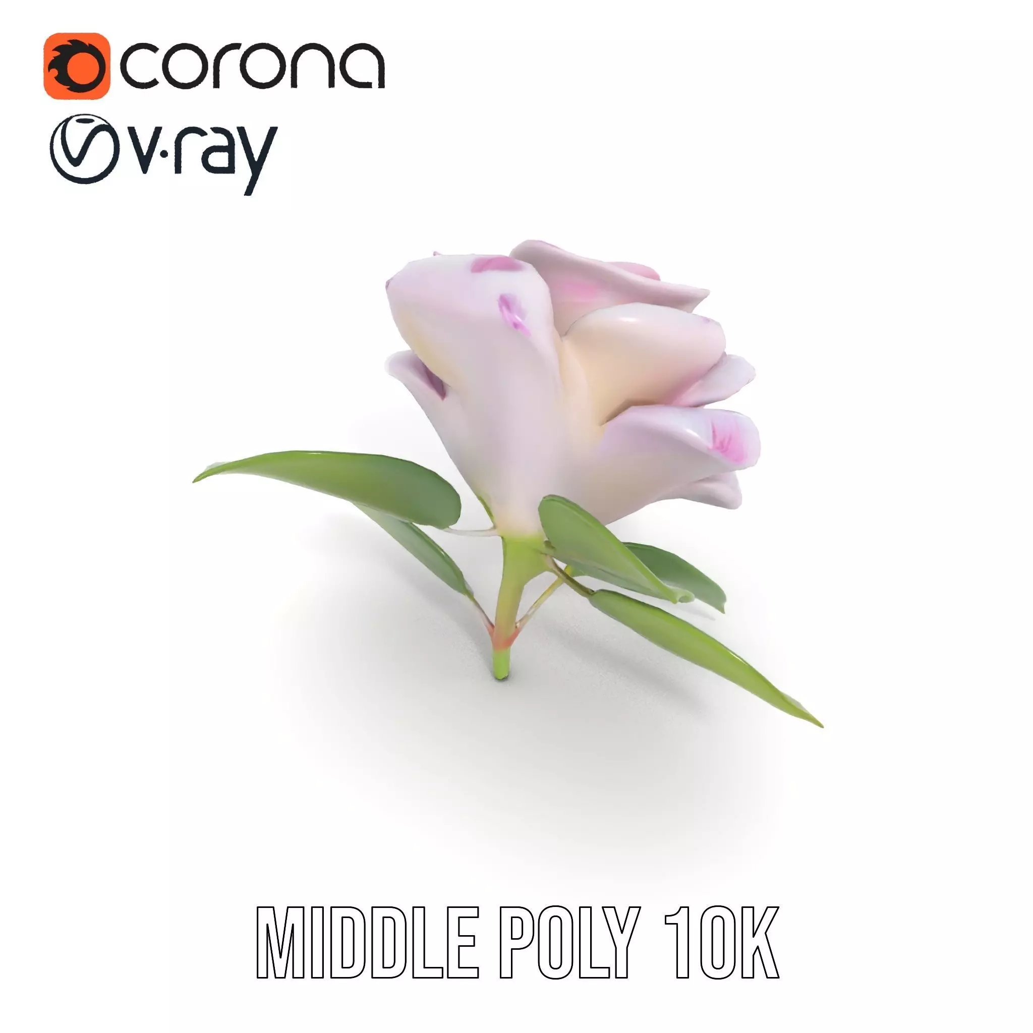 Elegant Pink Rose model pack Low-poly 3D model_13