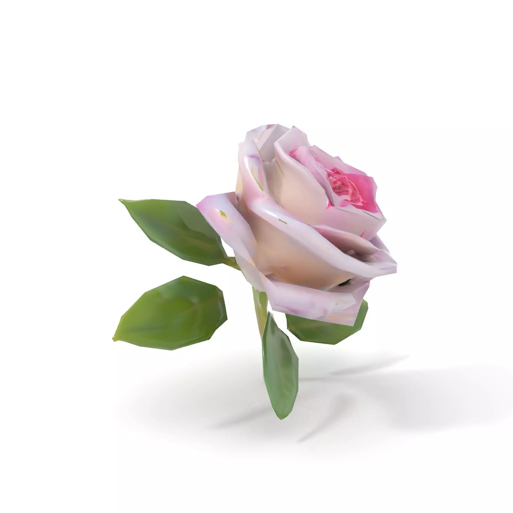 Elegant Pink Rose model pack Low-poly 3D model_7