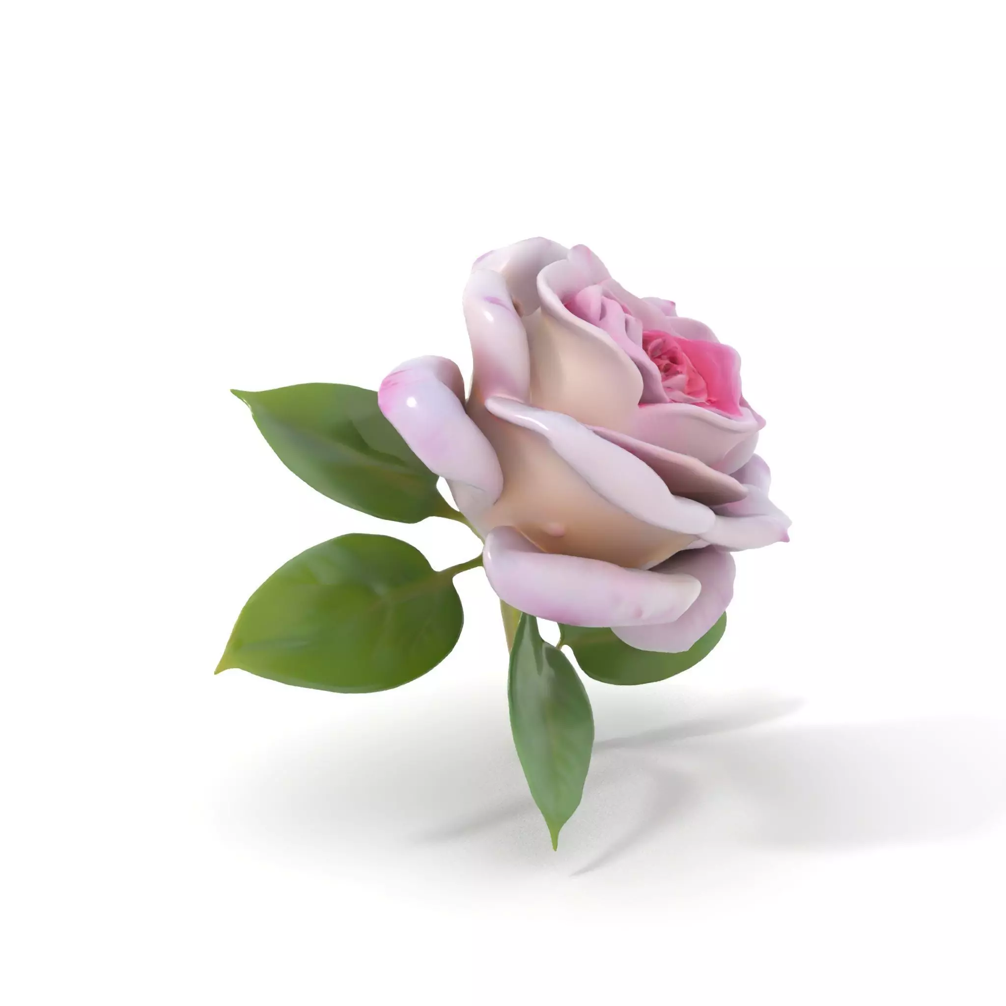 Elegant Pink Rose model pack Low-poly 3D model_0
