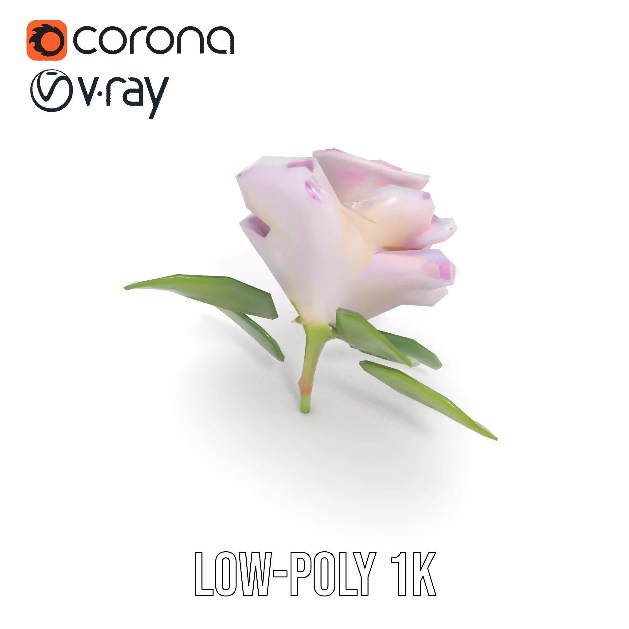 Elegant Pink Rose model pack Low-poly 3D model_28