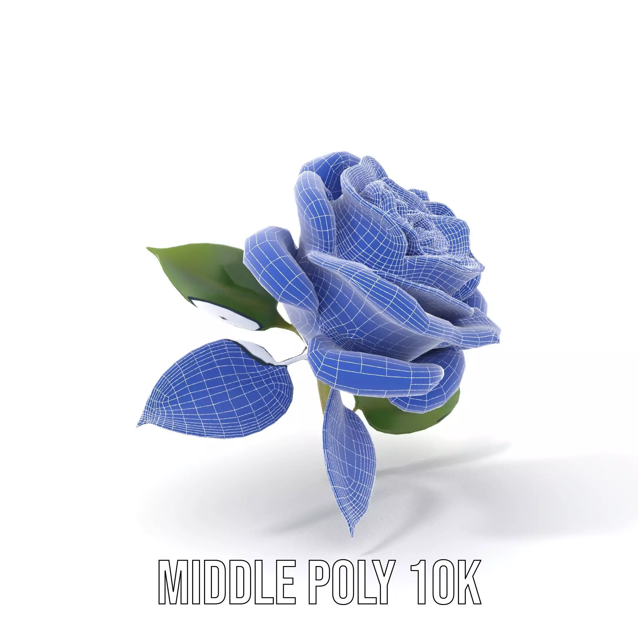 Elegant Pink Rose model pack Low-poly 3D model_18