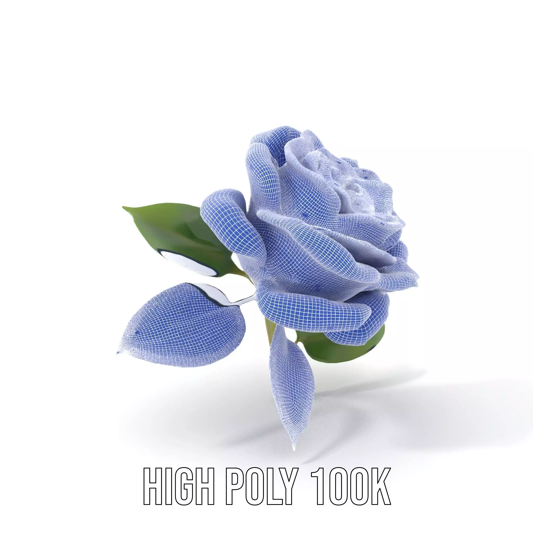 Elegant Pink Rose model pack Low-poly 3D model_4