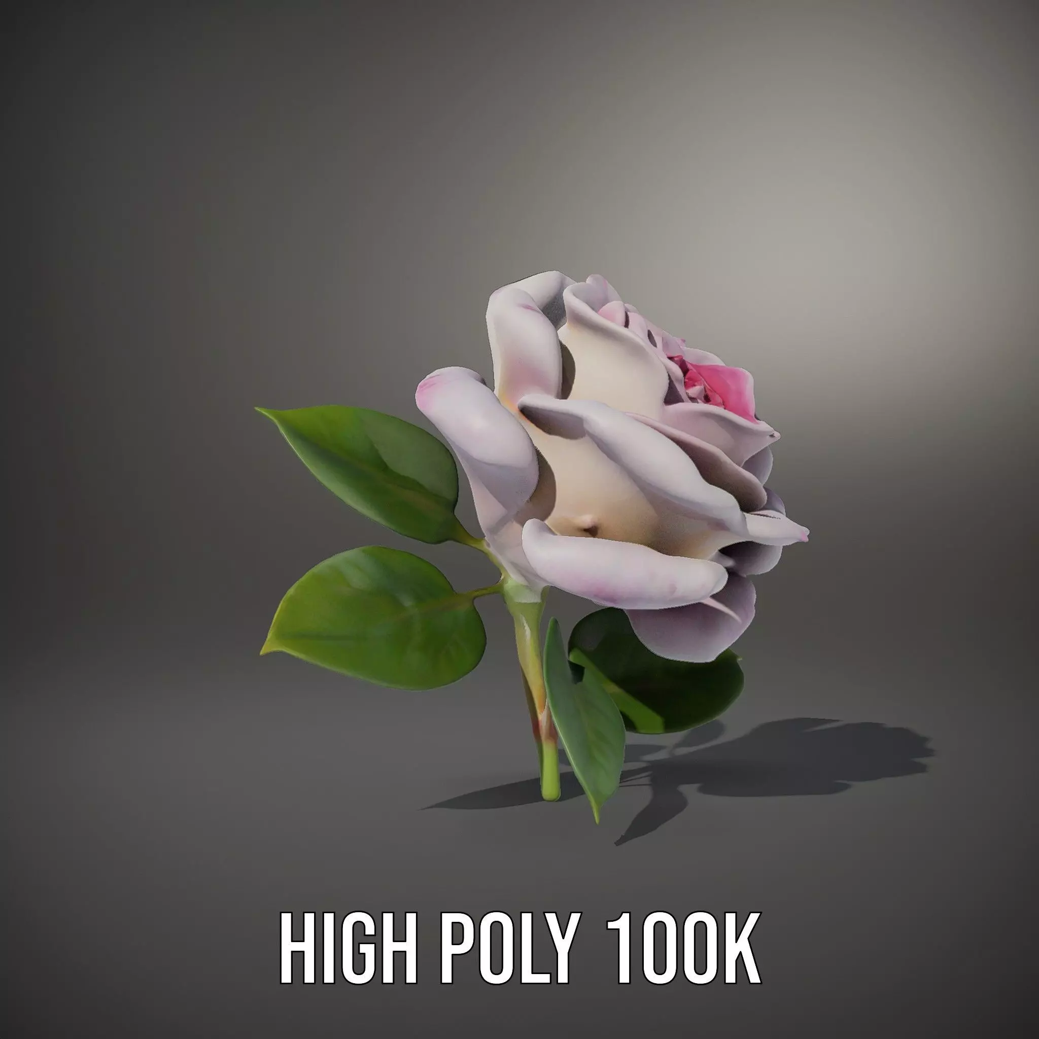 Elegant Pink Rose model pack Low-poly 3D model_10