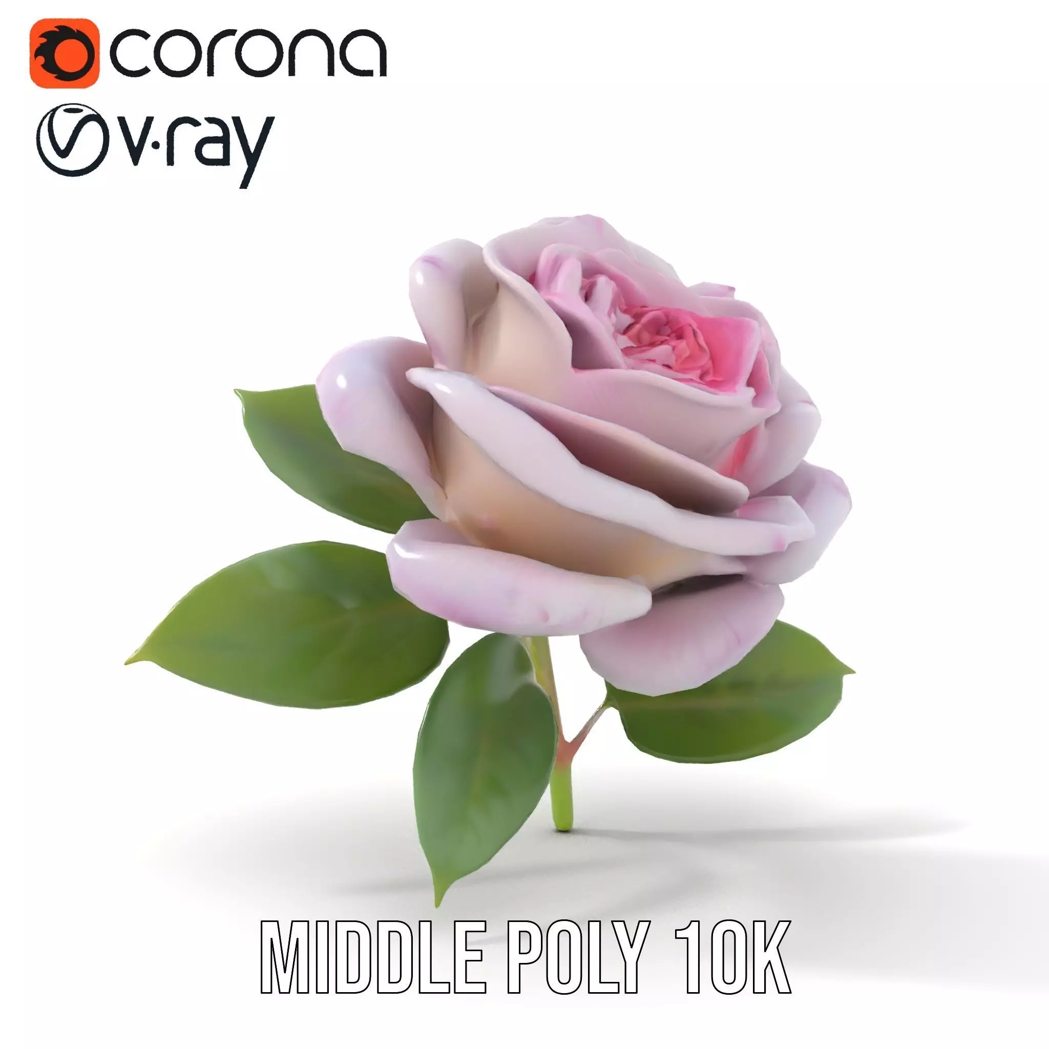 Elegant Pink Rose model pack Low-poly 3D model_11