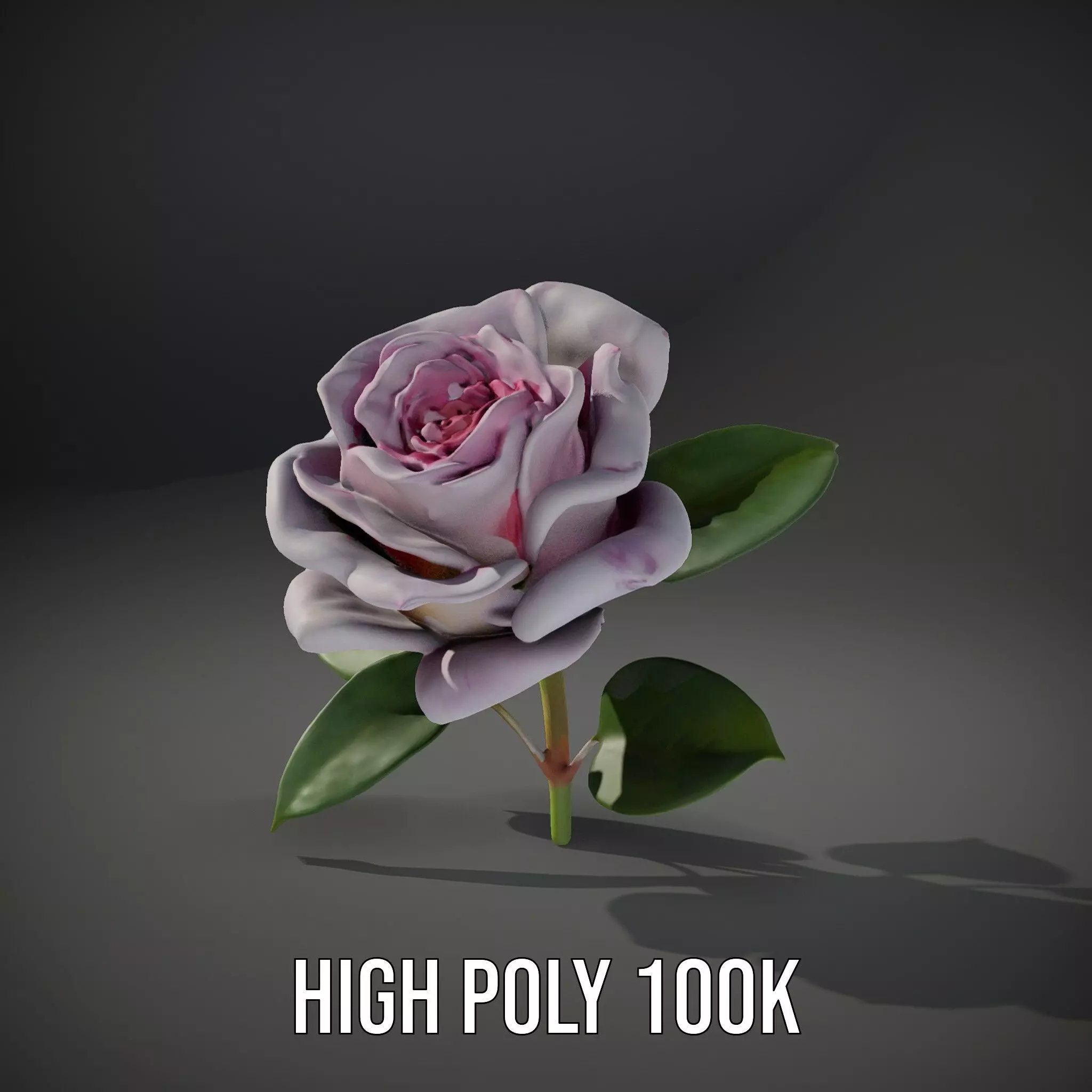 Elegant Pink Rose model pack Low-poly 3D model_8