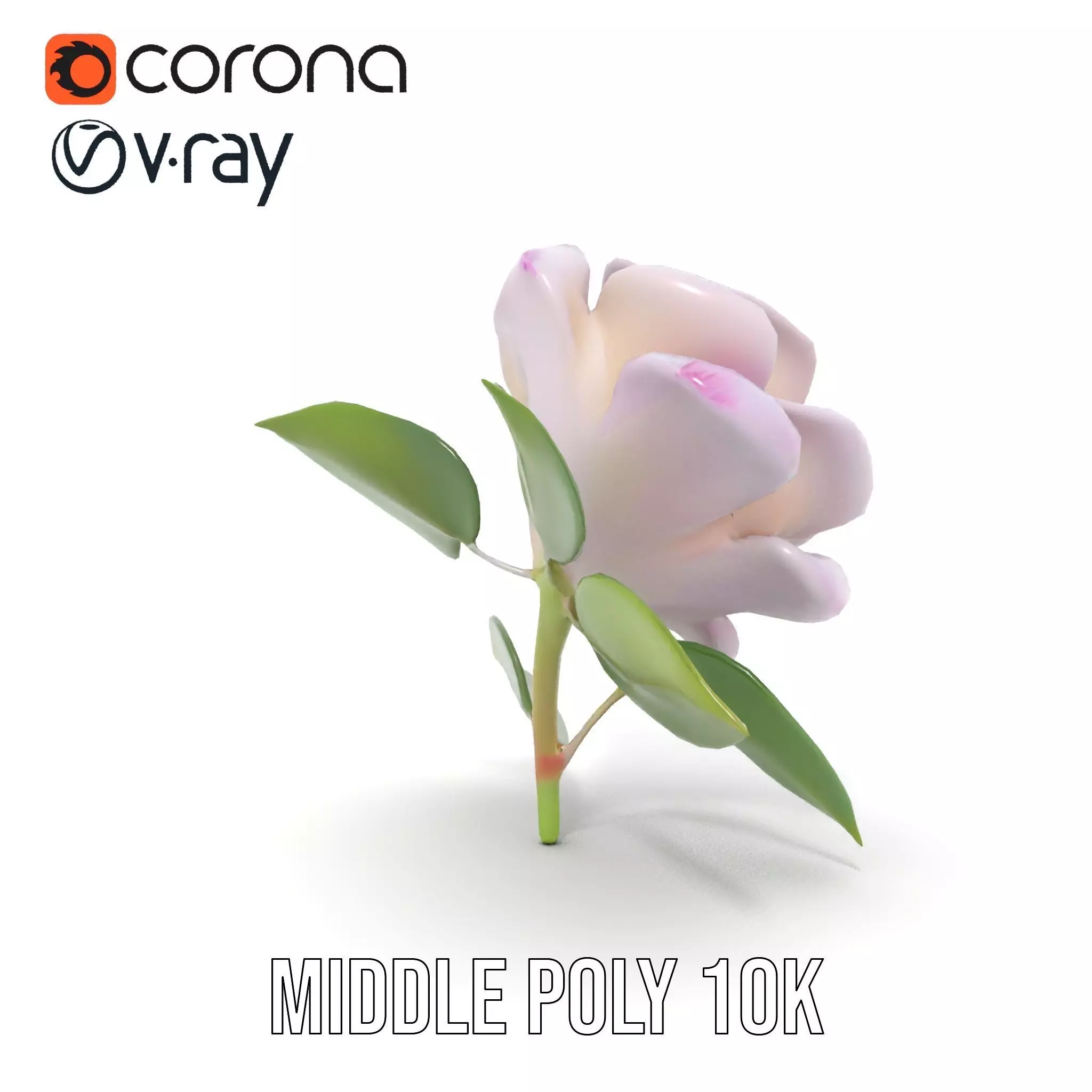Elegant Pink Rose model pack Low-poly 3D model_16