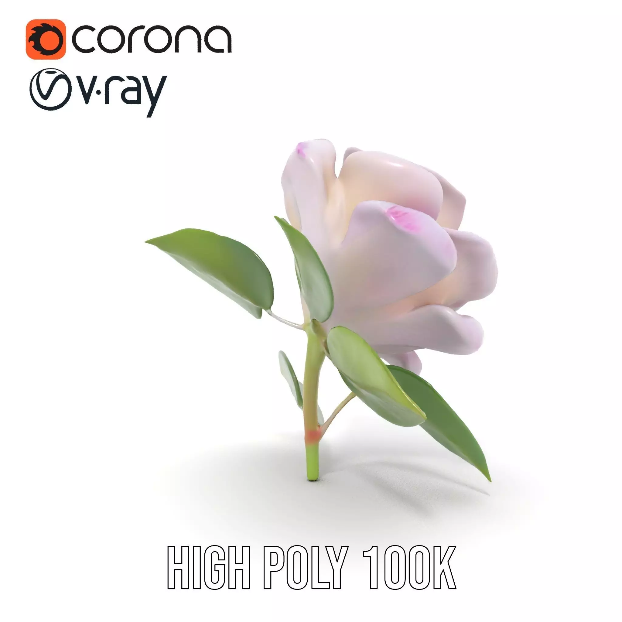 Elegant Pink Rose model pack Low-poly 3D model_26