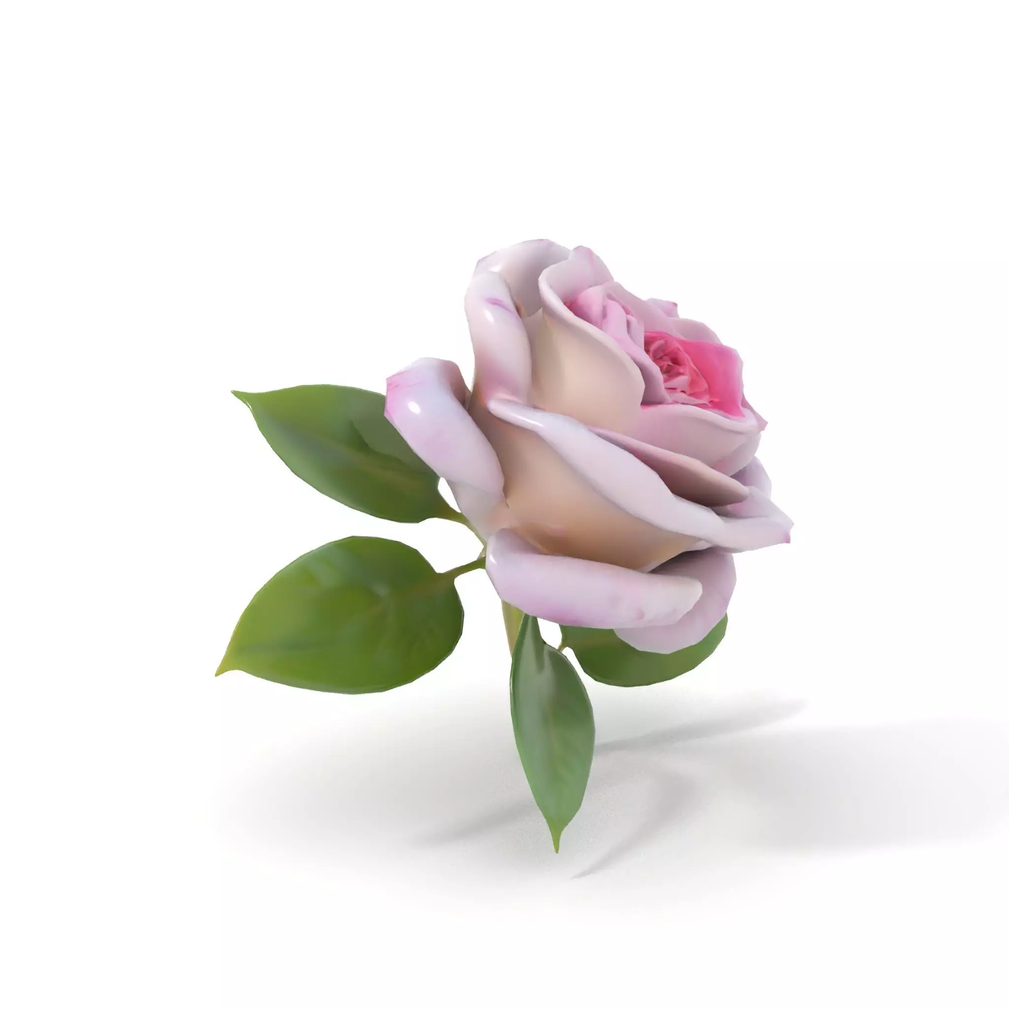 Elegant Pink Rose model pack Low-poly 3D model_5