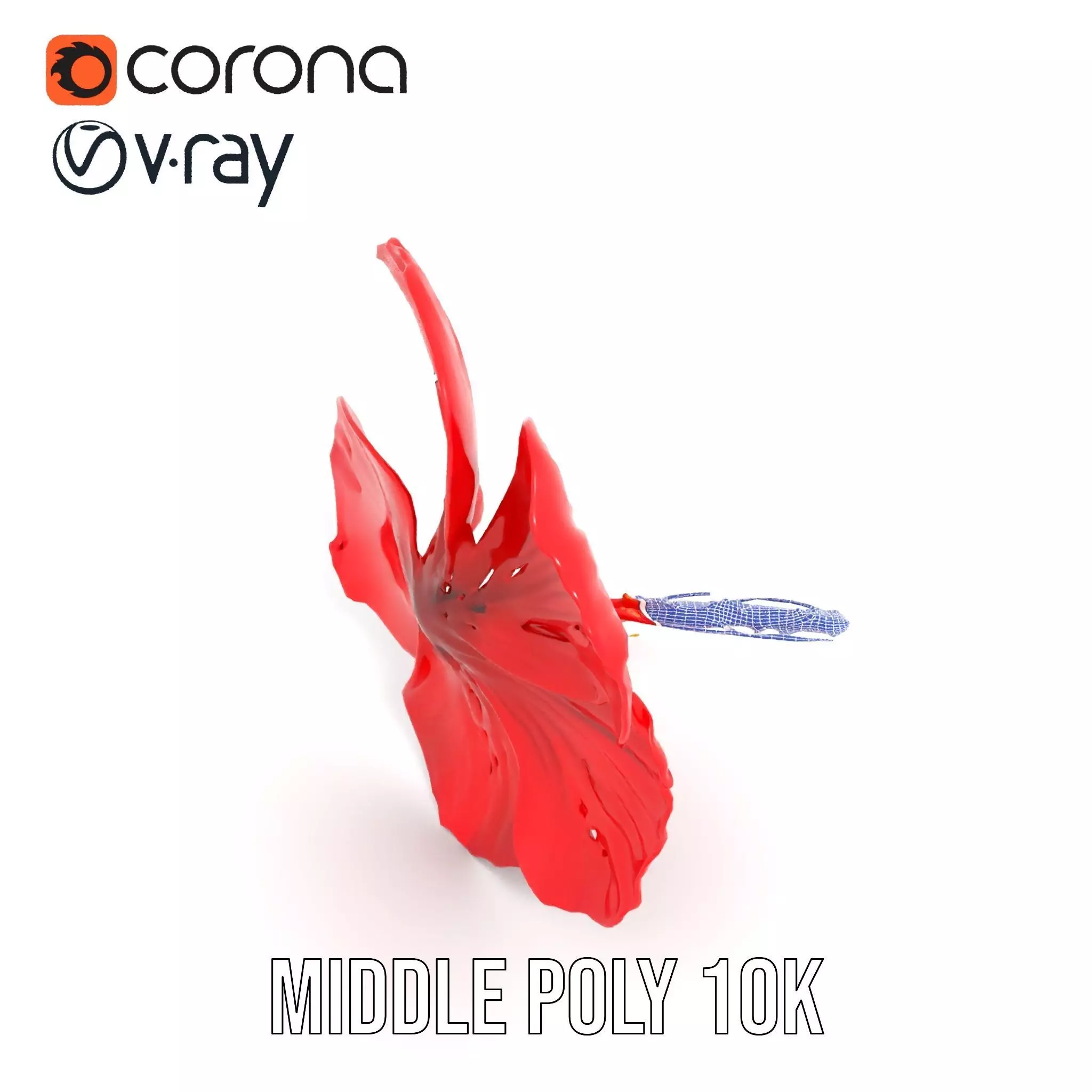 Vibrant Red Hibiscus model pack Low-poly 3D model_29