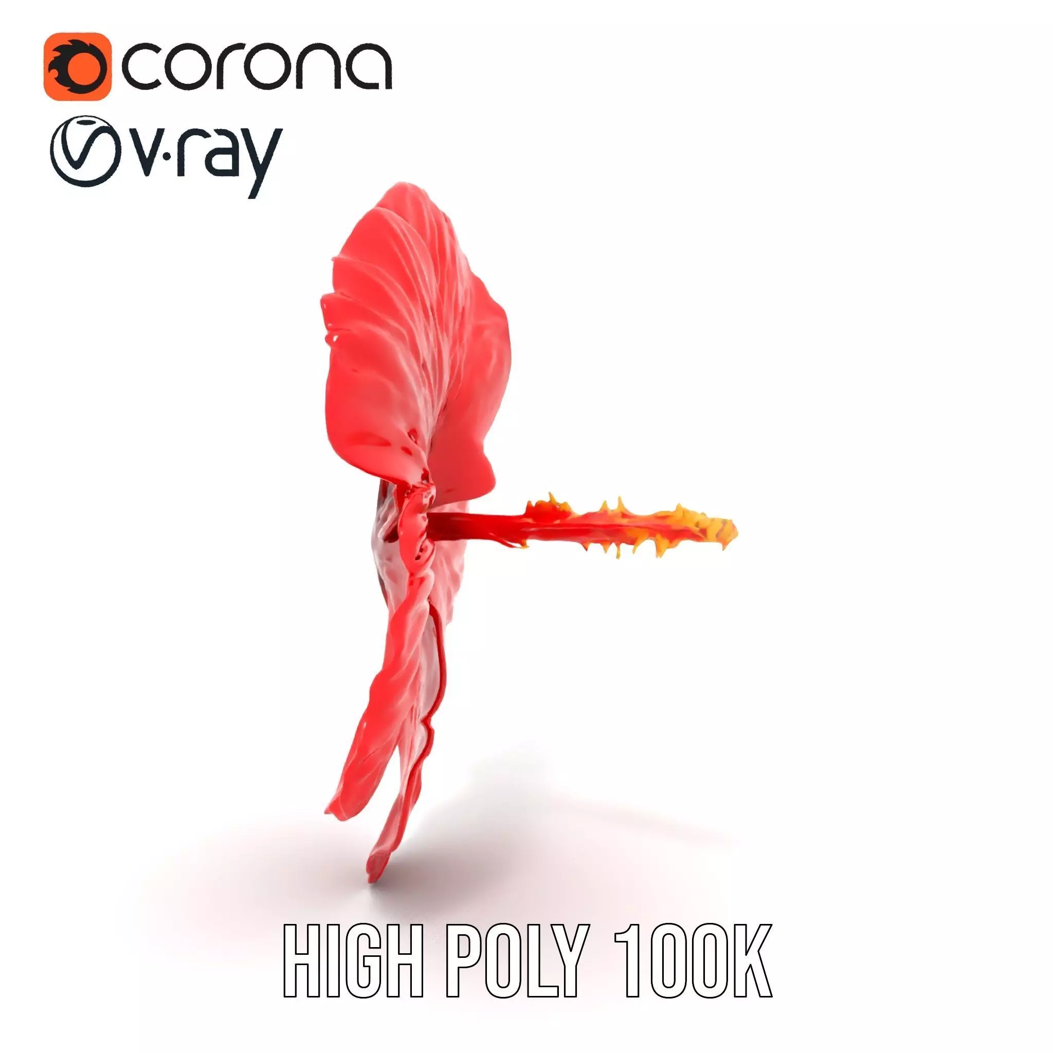 Vibrant Red Hibiscus model pack Low-poly 3D model_18