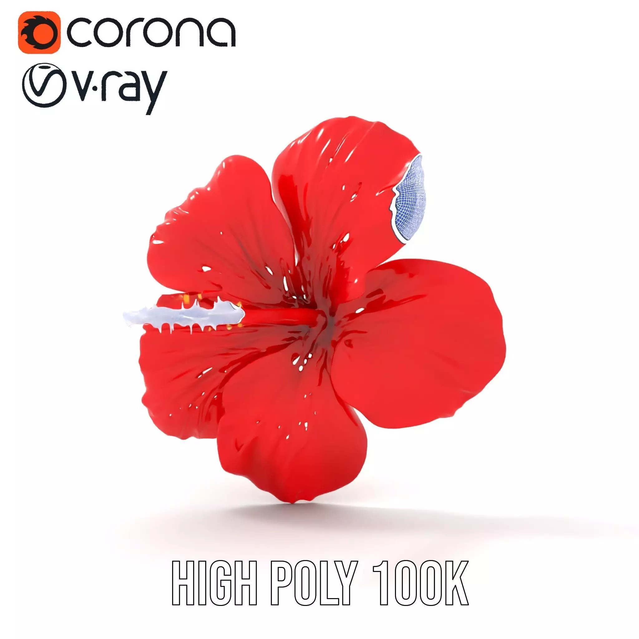 Vibrant Red Hibiscus model pack Low-poly 3D model_34