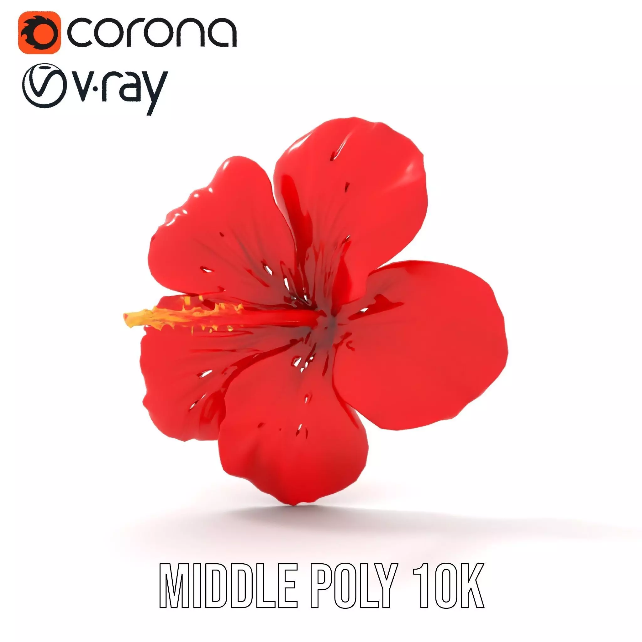 Vibrant Red Hibiscus model pack Low-poly 3D model_16