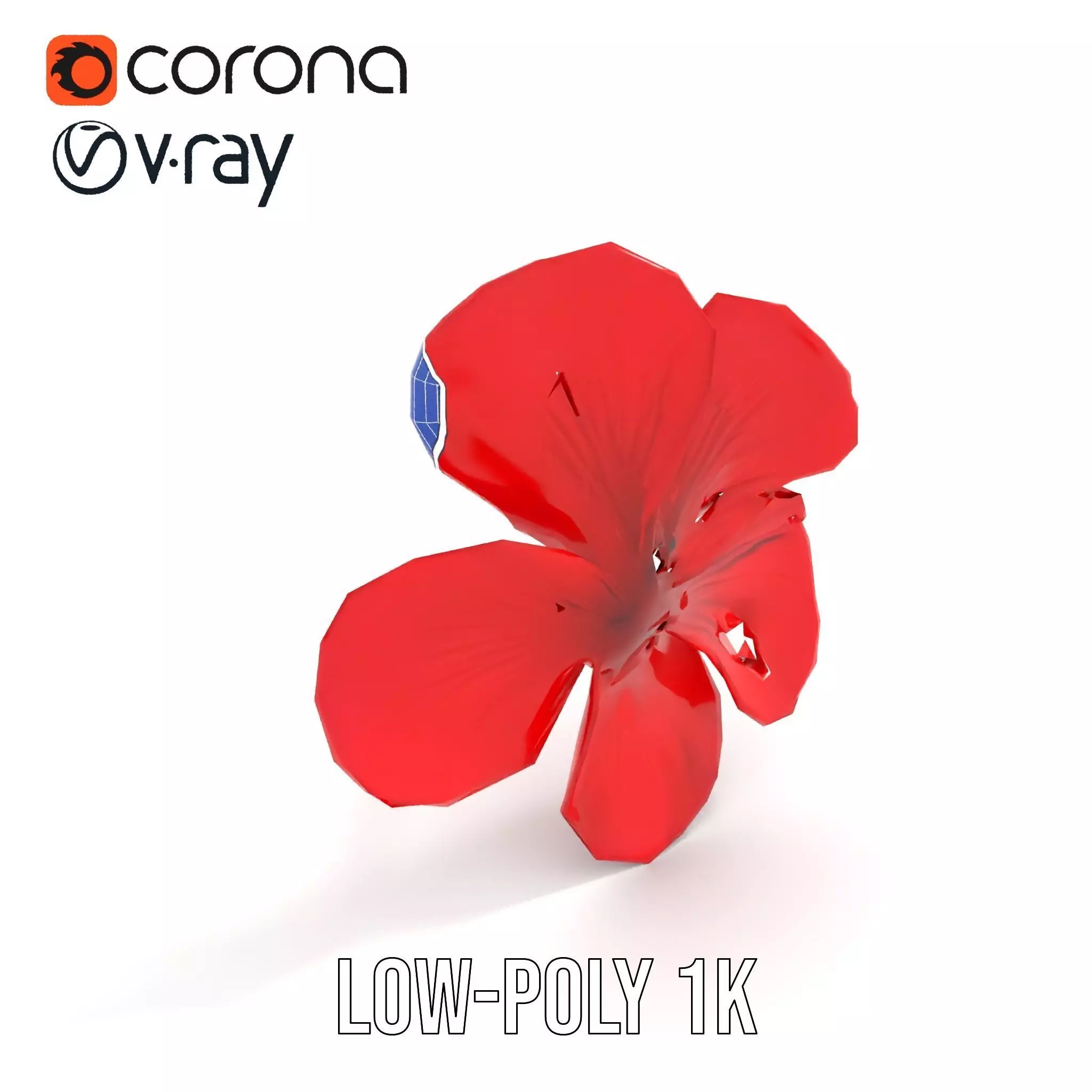 Vibrant Red Hibiscus model pack Low-poly 3D model_22