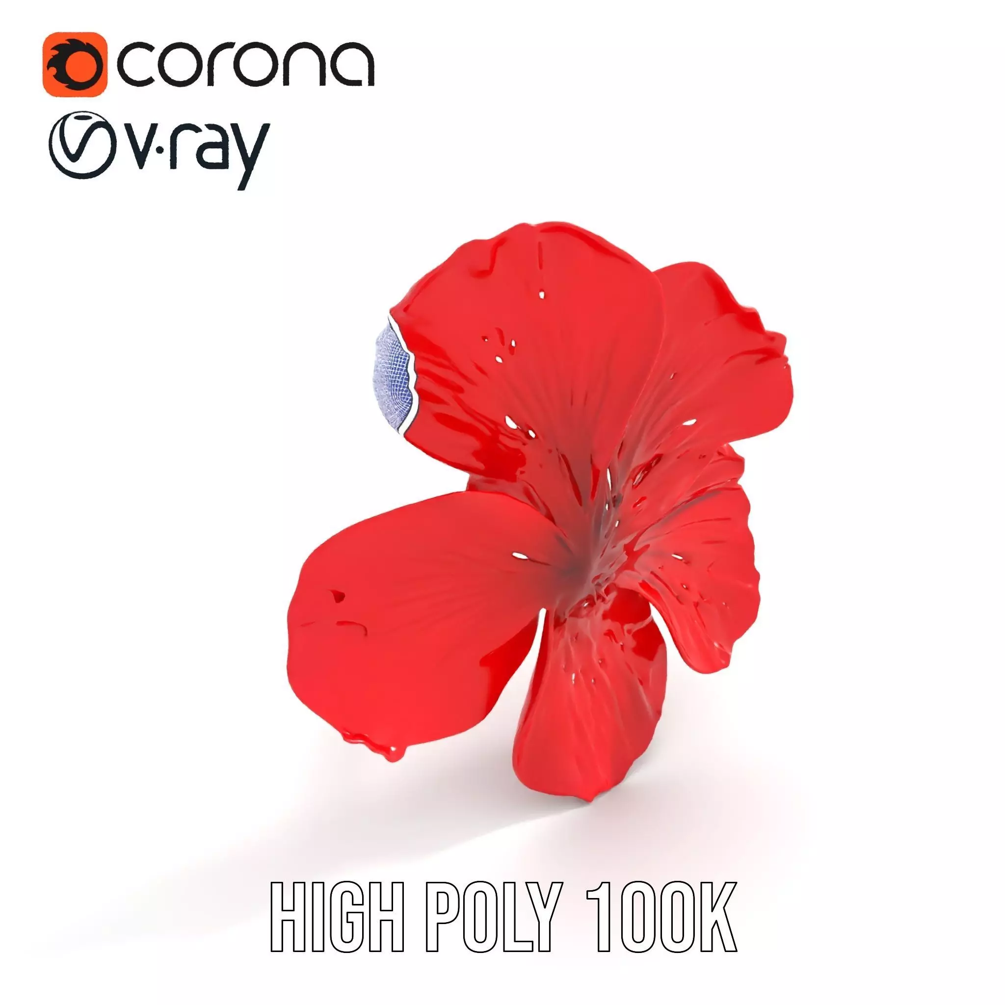 Vibrant Red Hibiscus model pack Low-poly 3D model_28