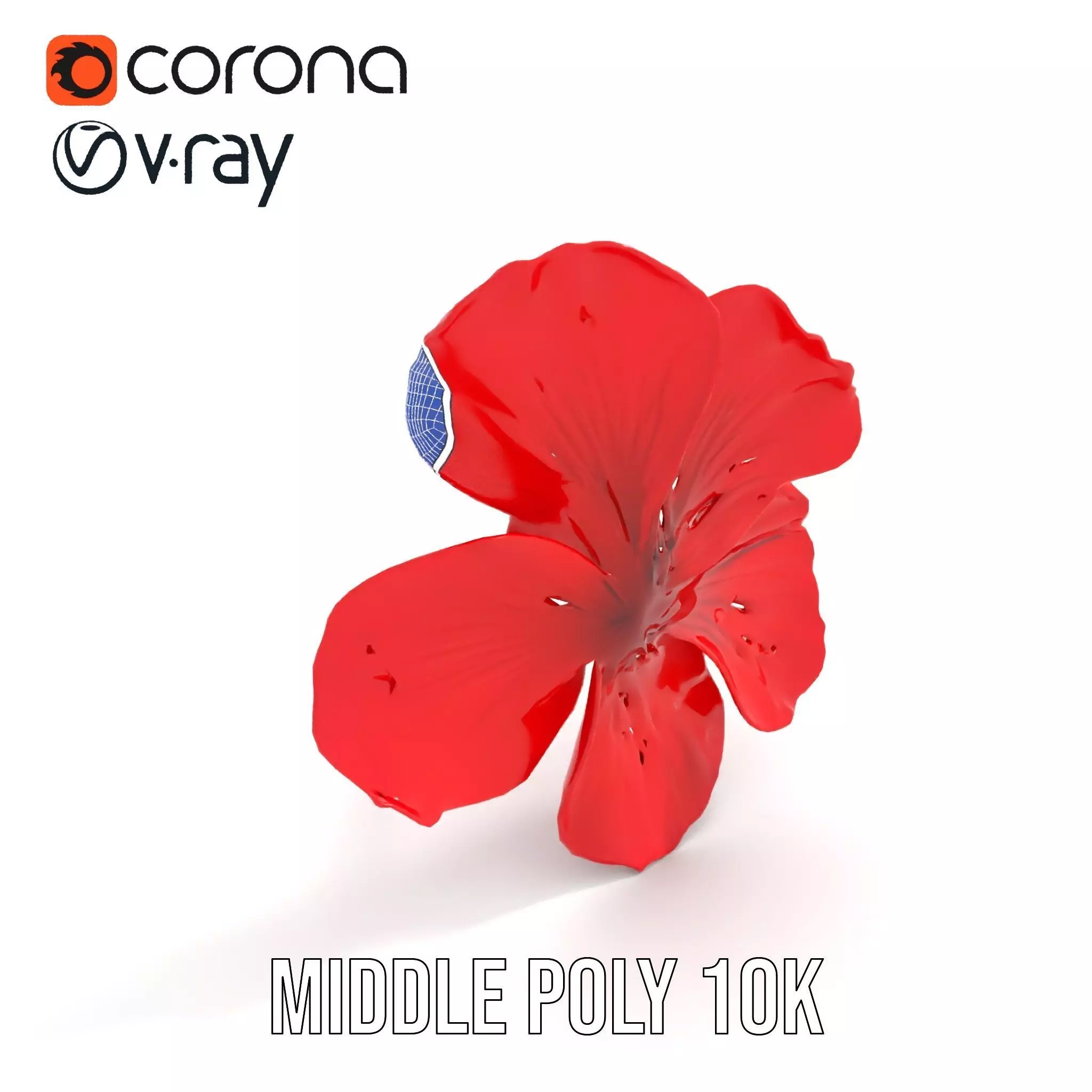 Vibrant Red Hibiscus model pack Low-poly 3D model_26