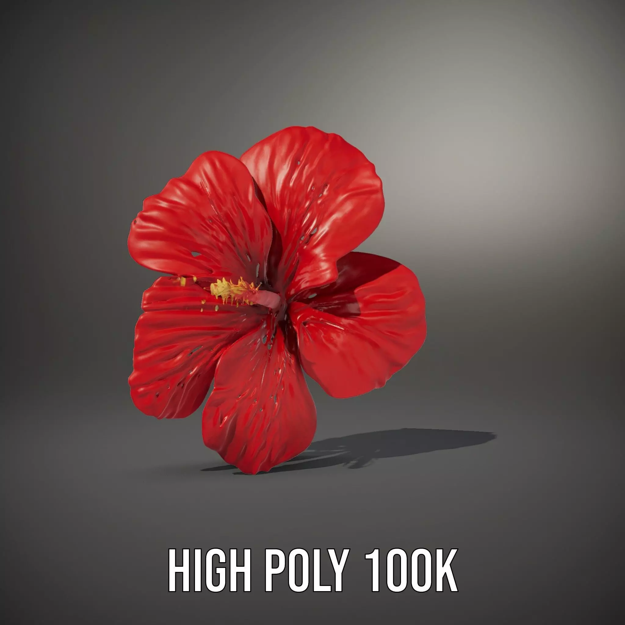 Vibrant Red Hibiscus model pack Low-poly 3D model_8