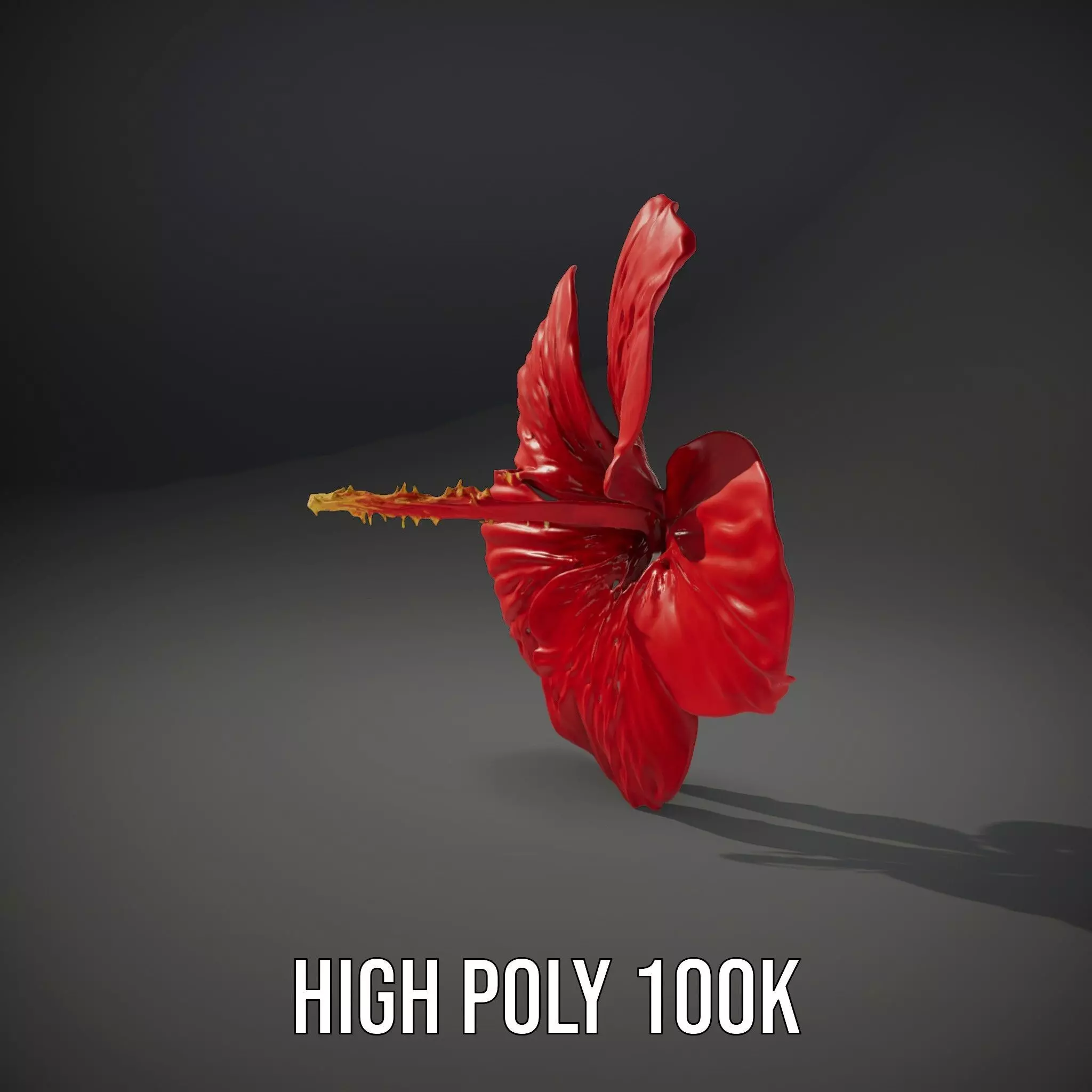 Vibrant Red Hibiscus model pack Low-poly 3D model_10