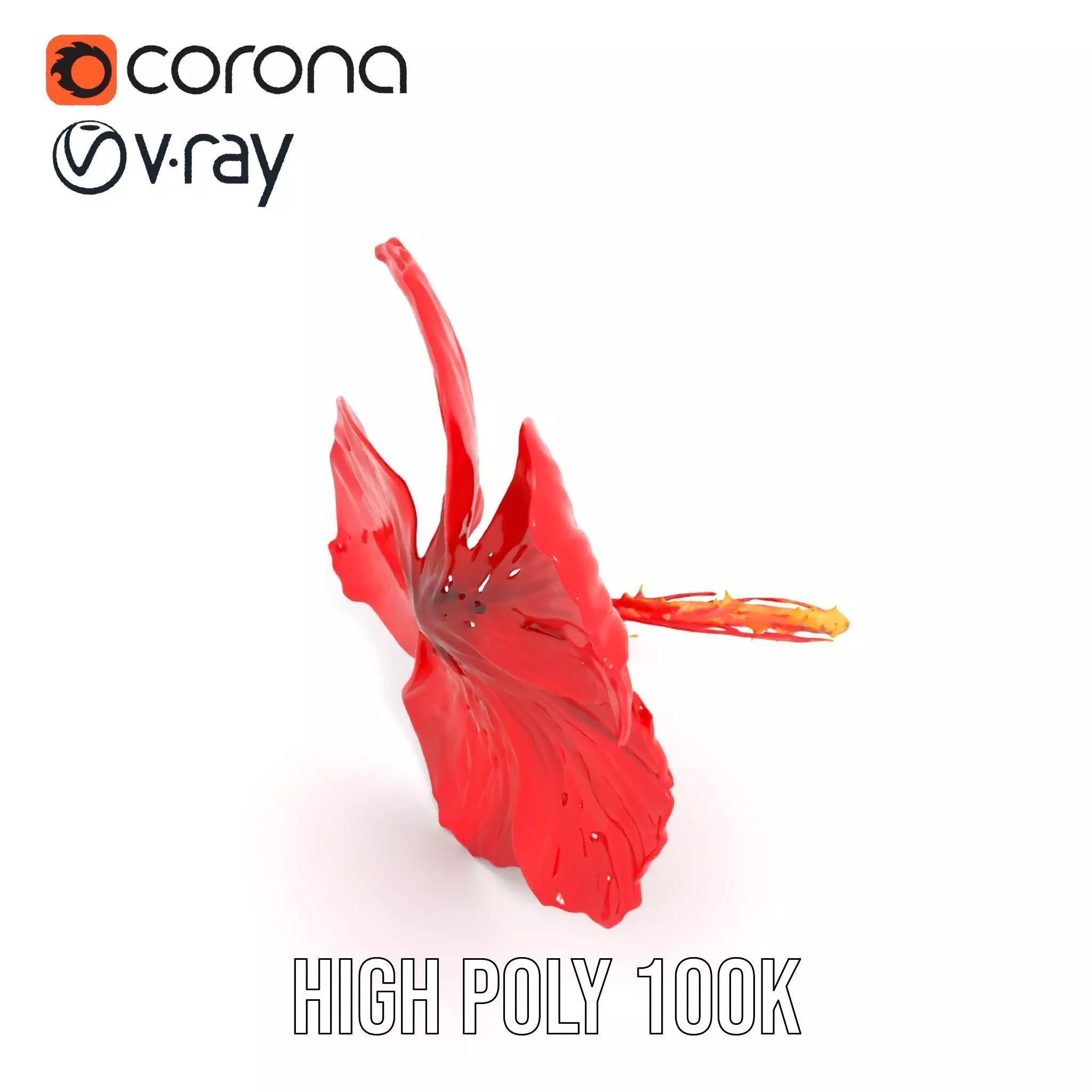Vibrant Red Hibiscus model pack Low-poly 3D model_15