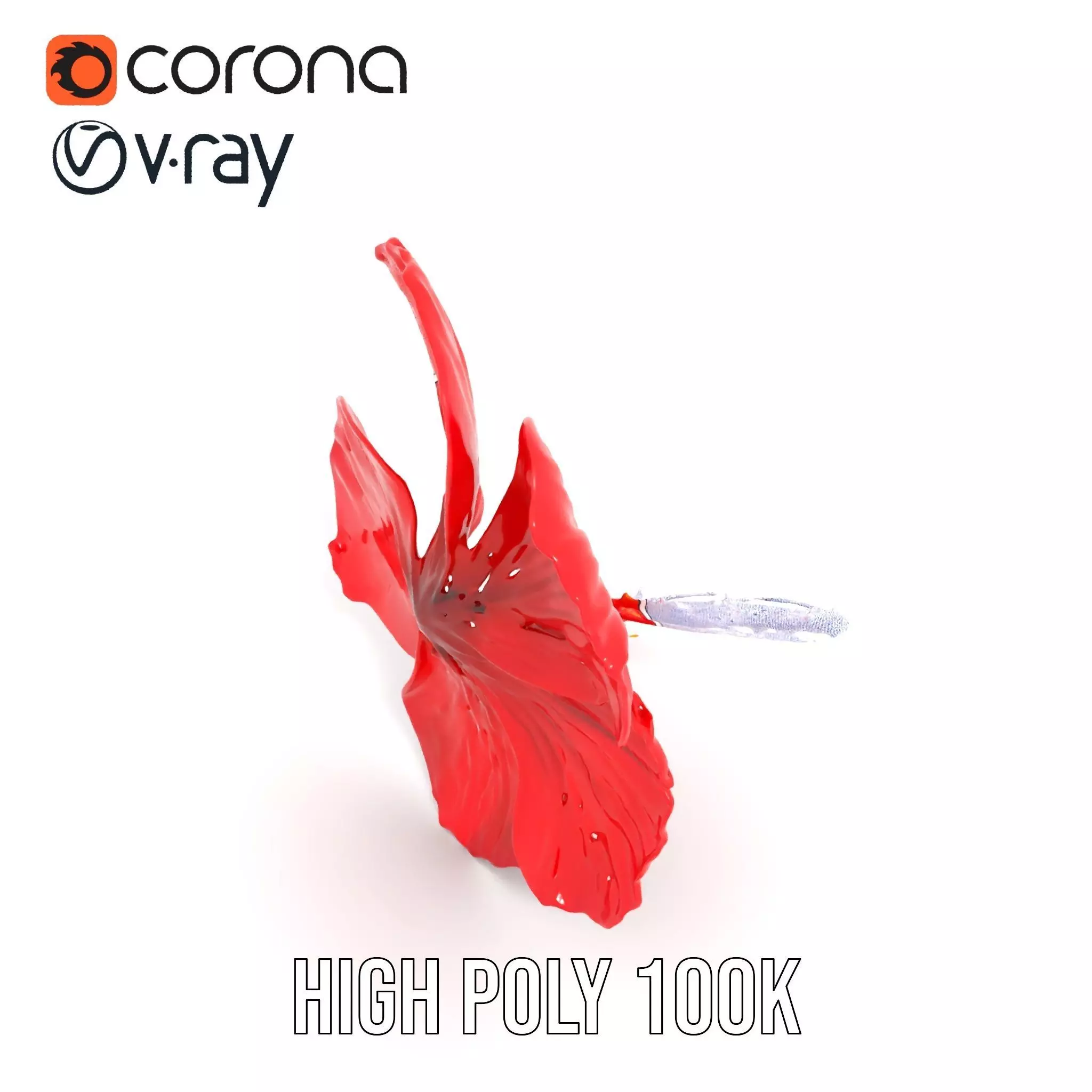 Vibrant Red Hibiscus model pack Low-poly 3D model_25