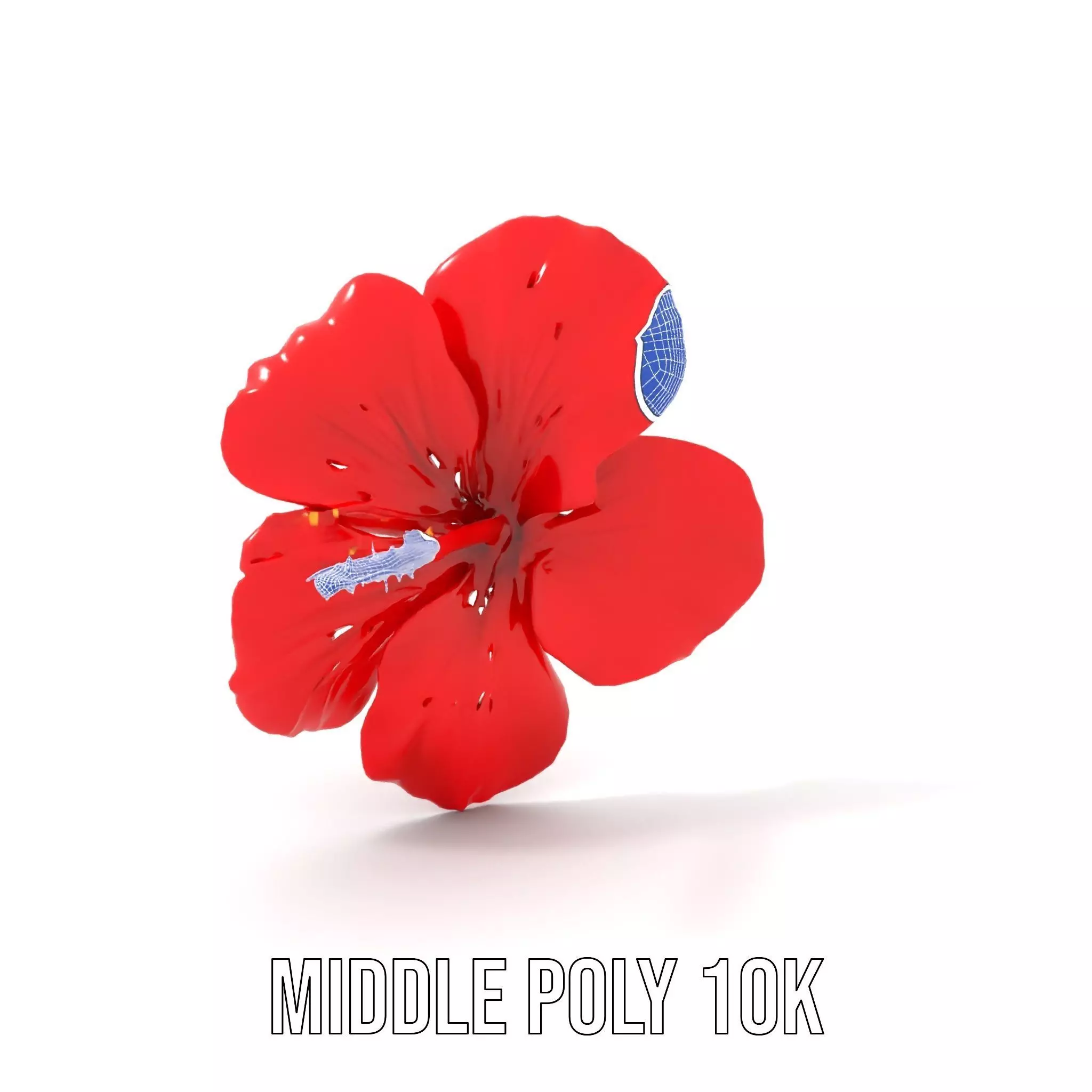 Vibrant Red Hibiscus model pack Low-poly 3D model_21