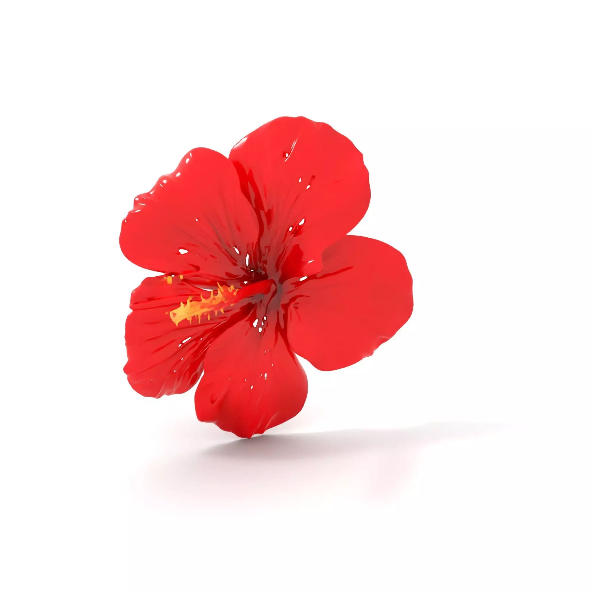 Vibrant Red Hibiscus model pack Low-poly 3D model_0