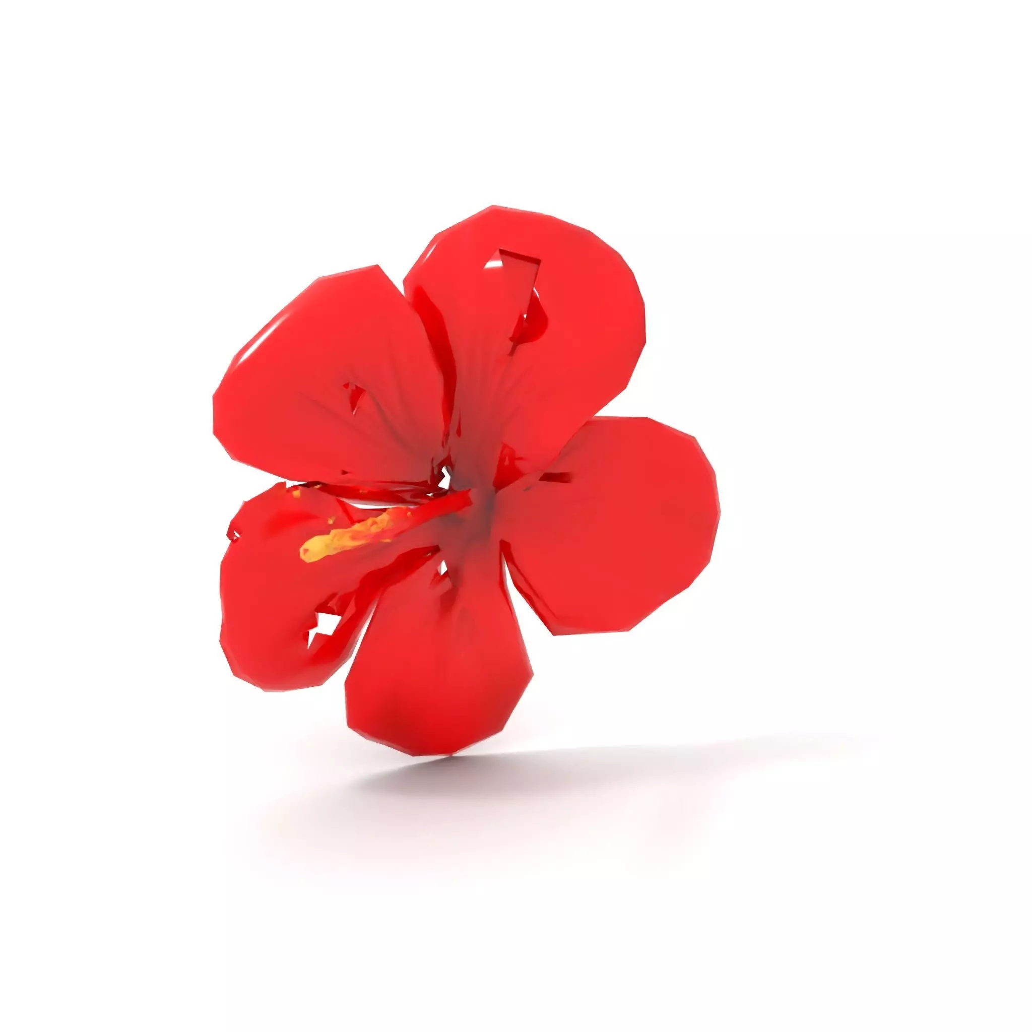 Vibrant Red Hibiscus model pack Low-poly 3D model_7