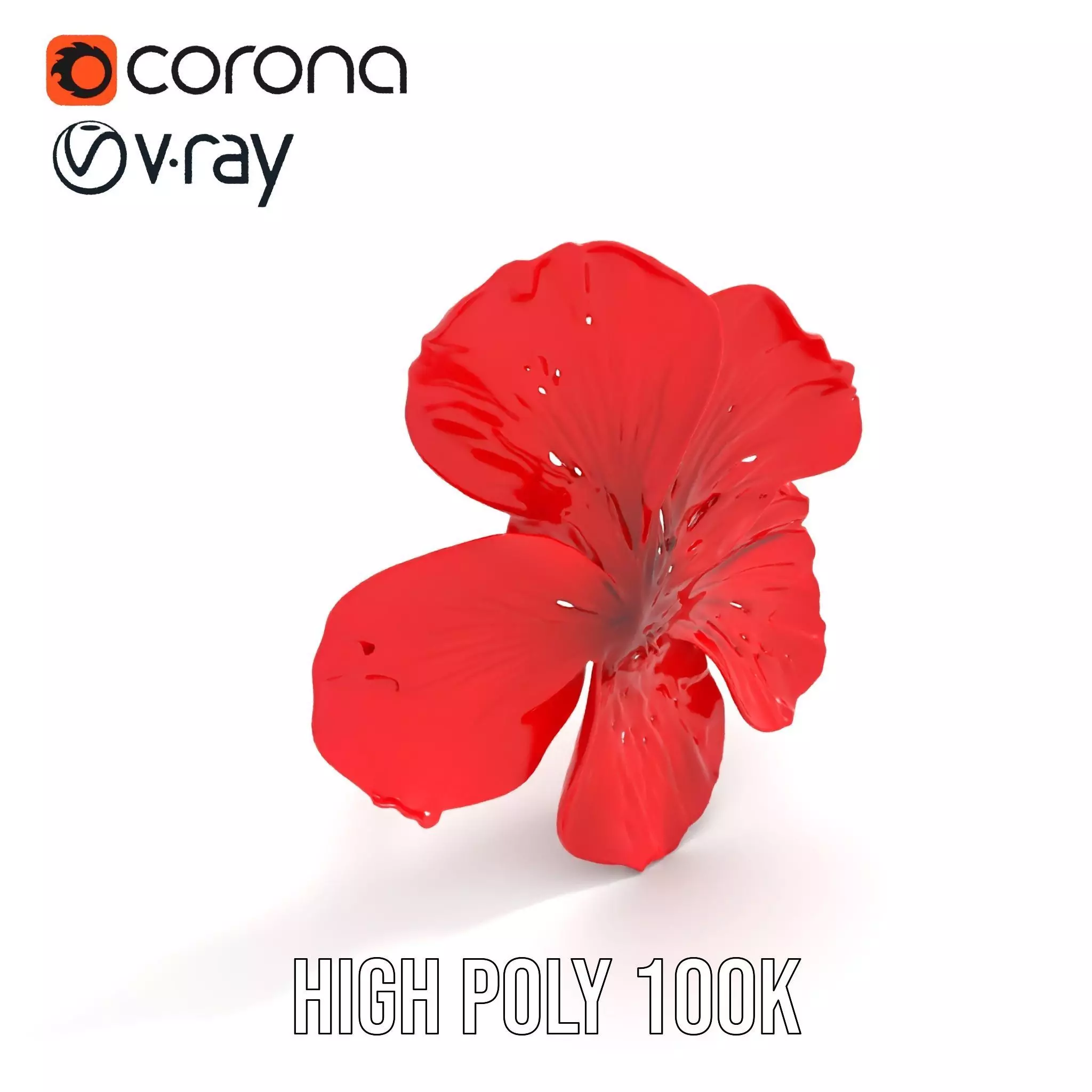 Vibrant Red Hibiscus model pack Low-poly 3D model_31