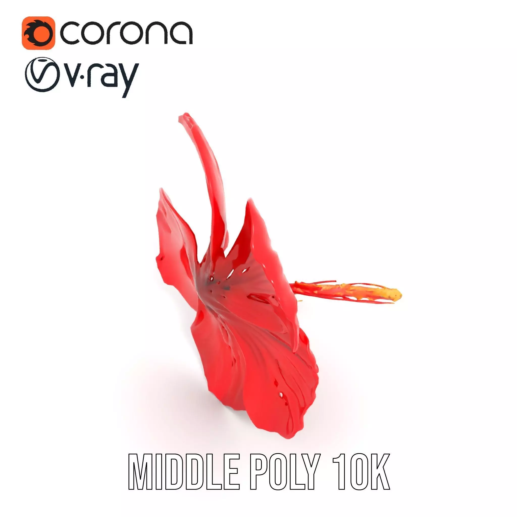Vibrant Red Hibiscus model pack Low-poly 3D model_13