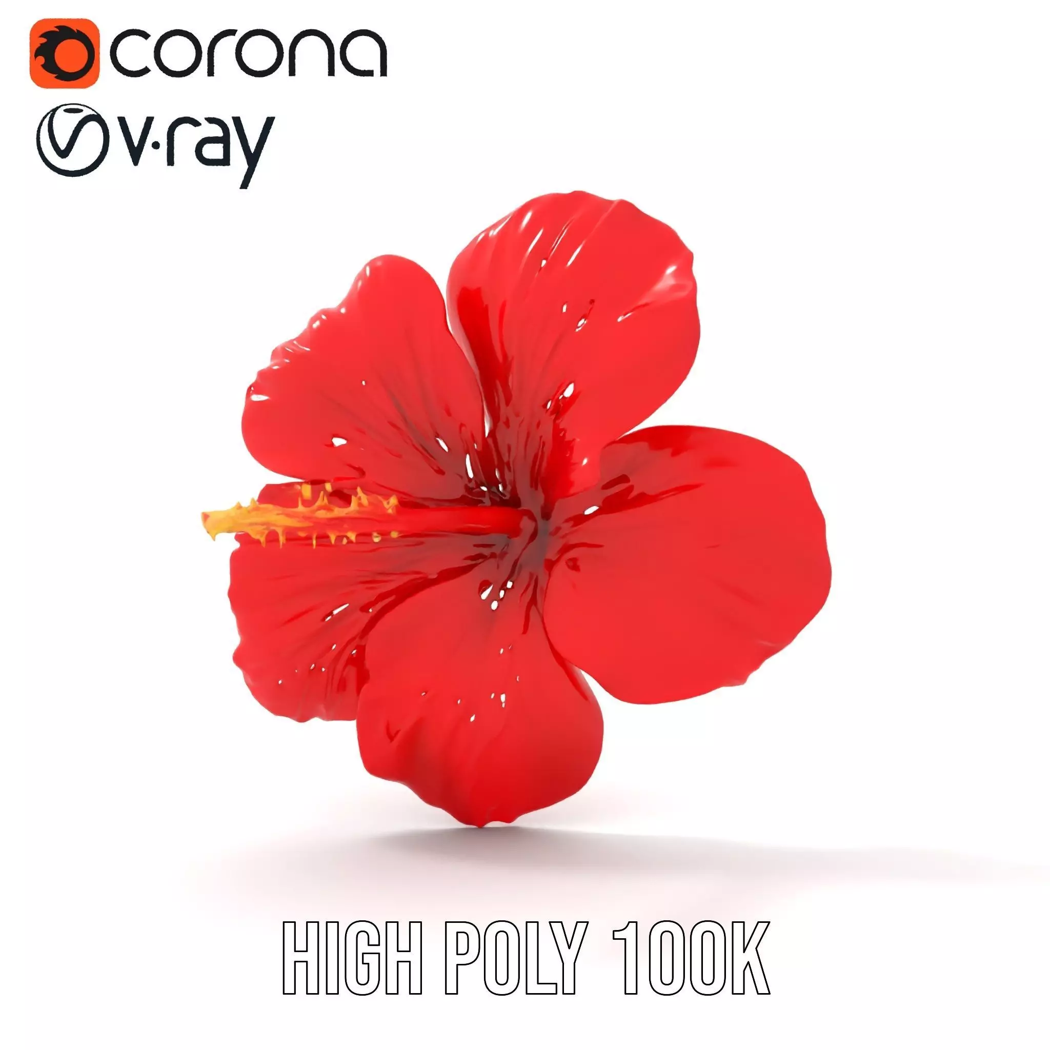 Vibrant Red Hibiscus model pack Low-poly 3D model_32