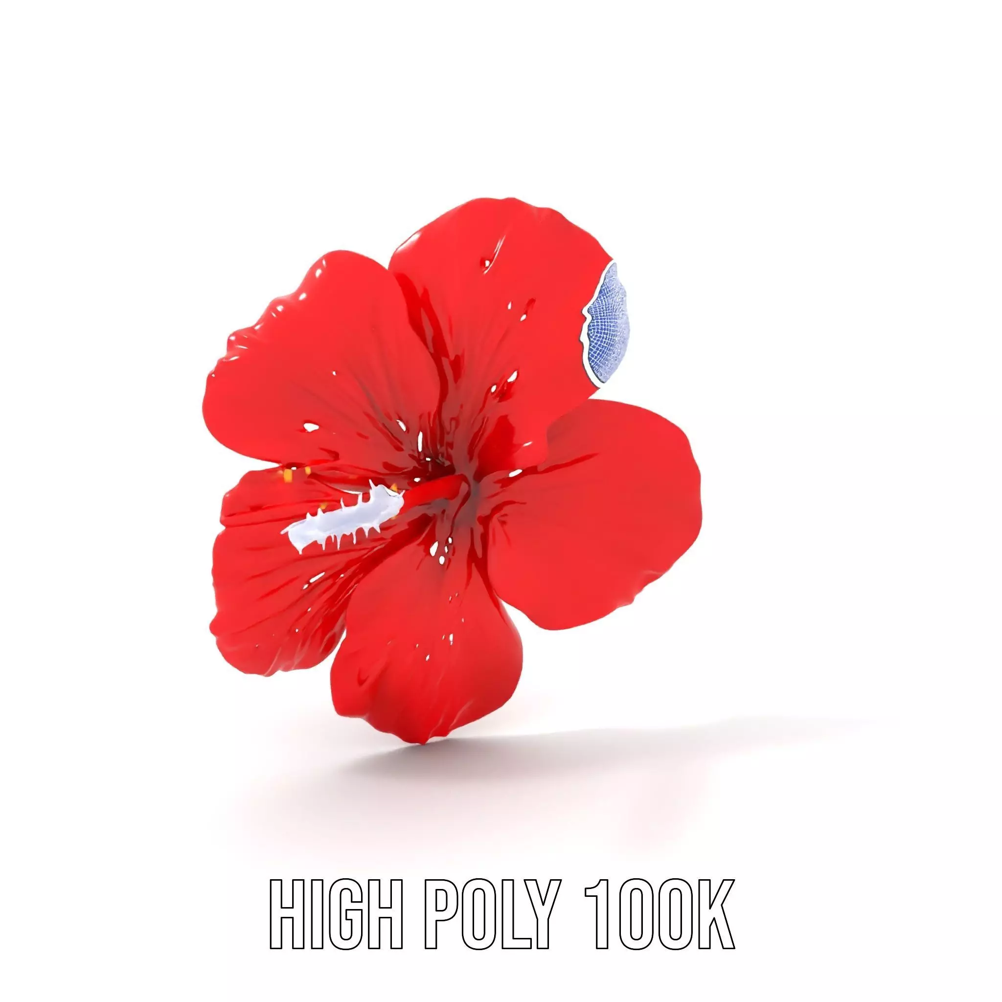 Vibrant Red Hibiscus model pack Low-poly 3D model_4