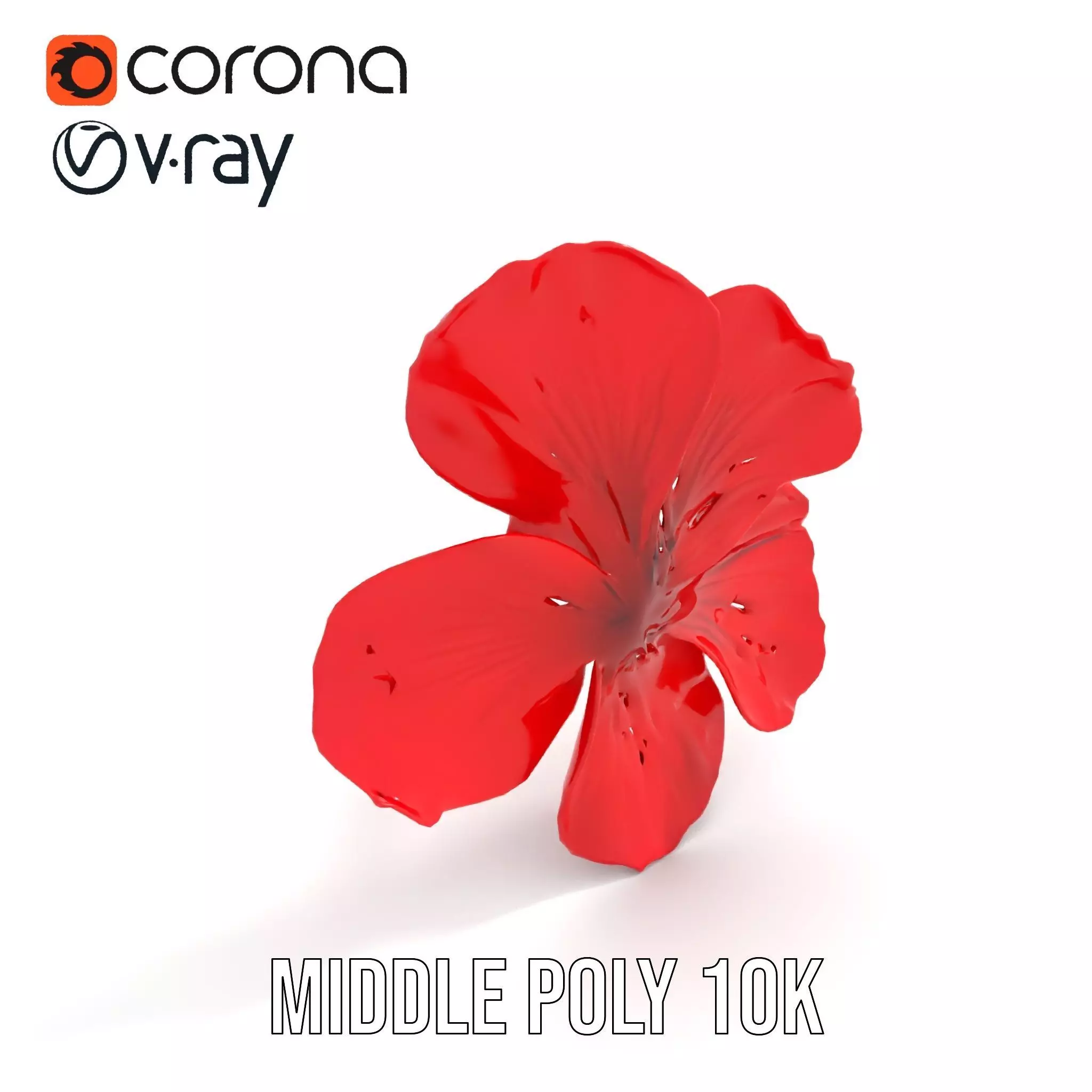 Vibrant Red Hibiscus model pack Low-poly 3D model_5