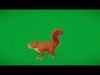Amazon Red Squirrel Rodent Low-poly 3D model_1