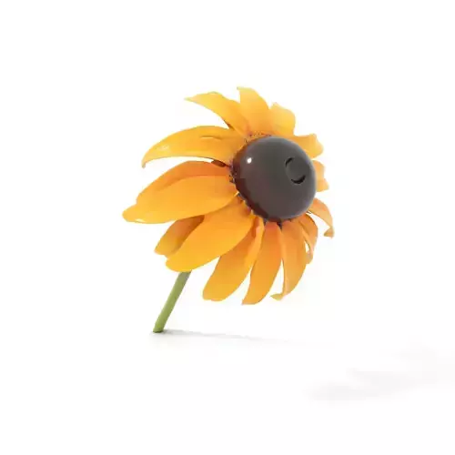 Sunny Daisy Blossom model pack