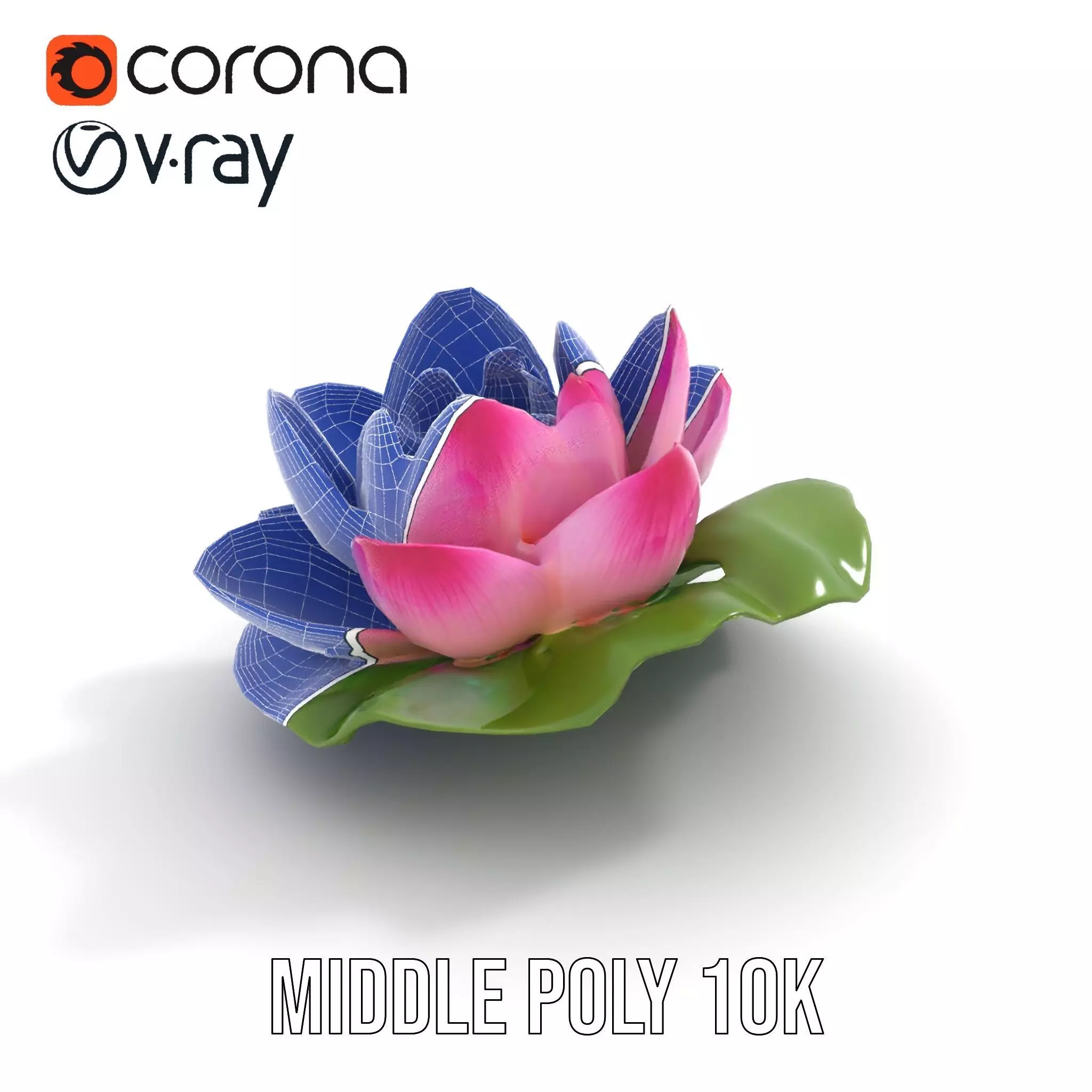 Elegant Lotus Blossom model pack Low-poly 3D model_5