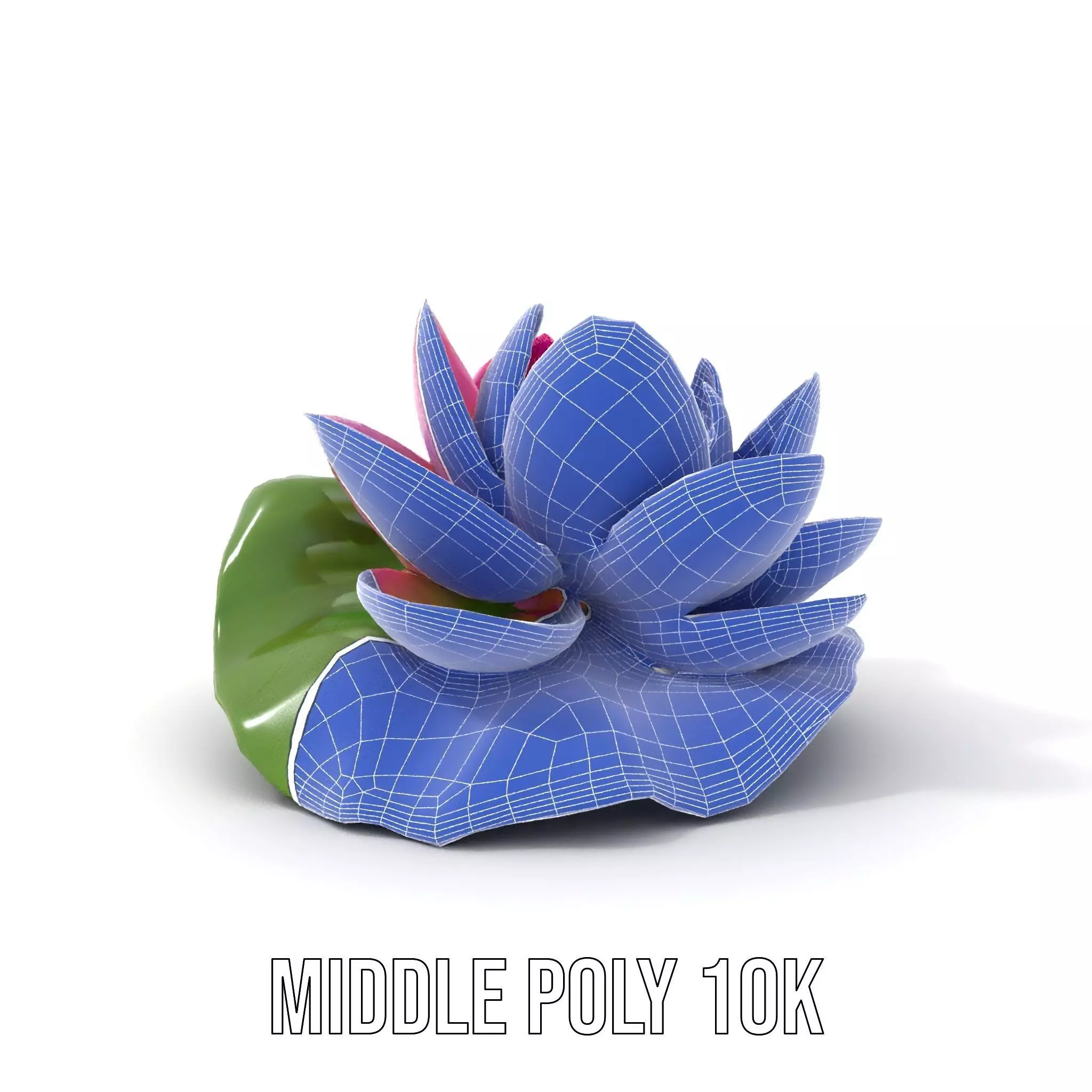 Elegant Lotus Blossom model pack Low-poly 3D model_20